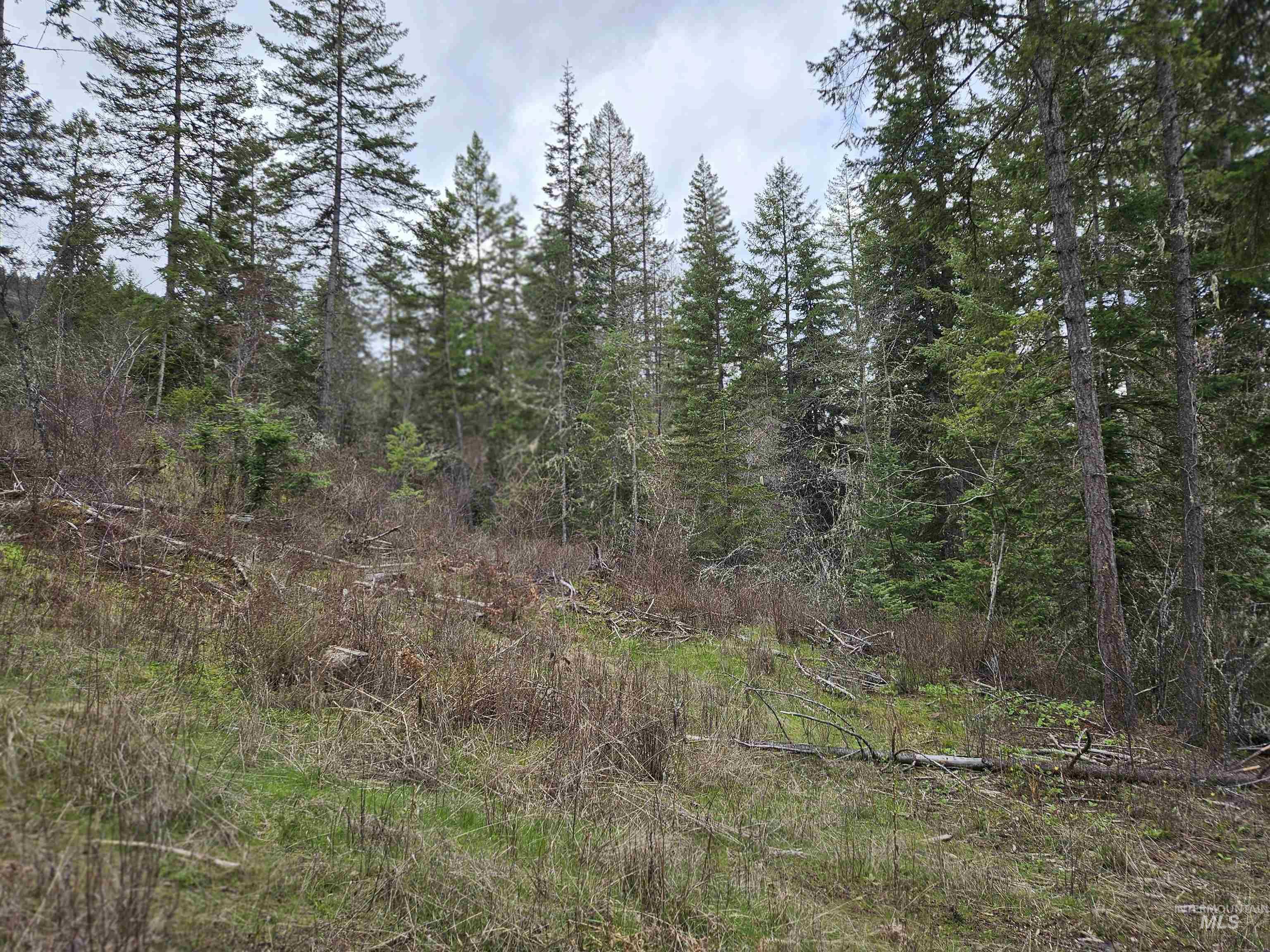 Tbd O'brien Property Photo 18
