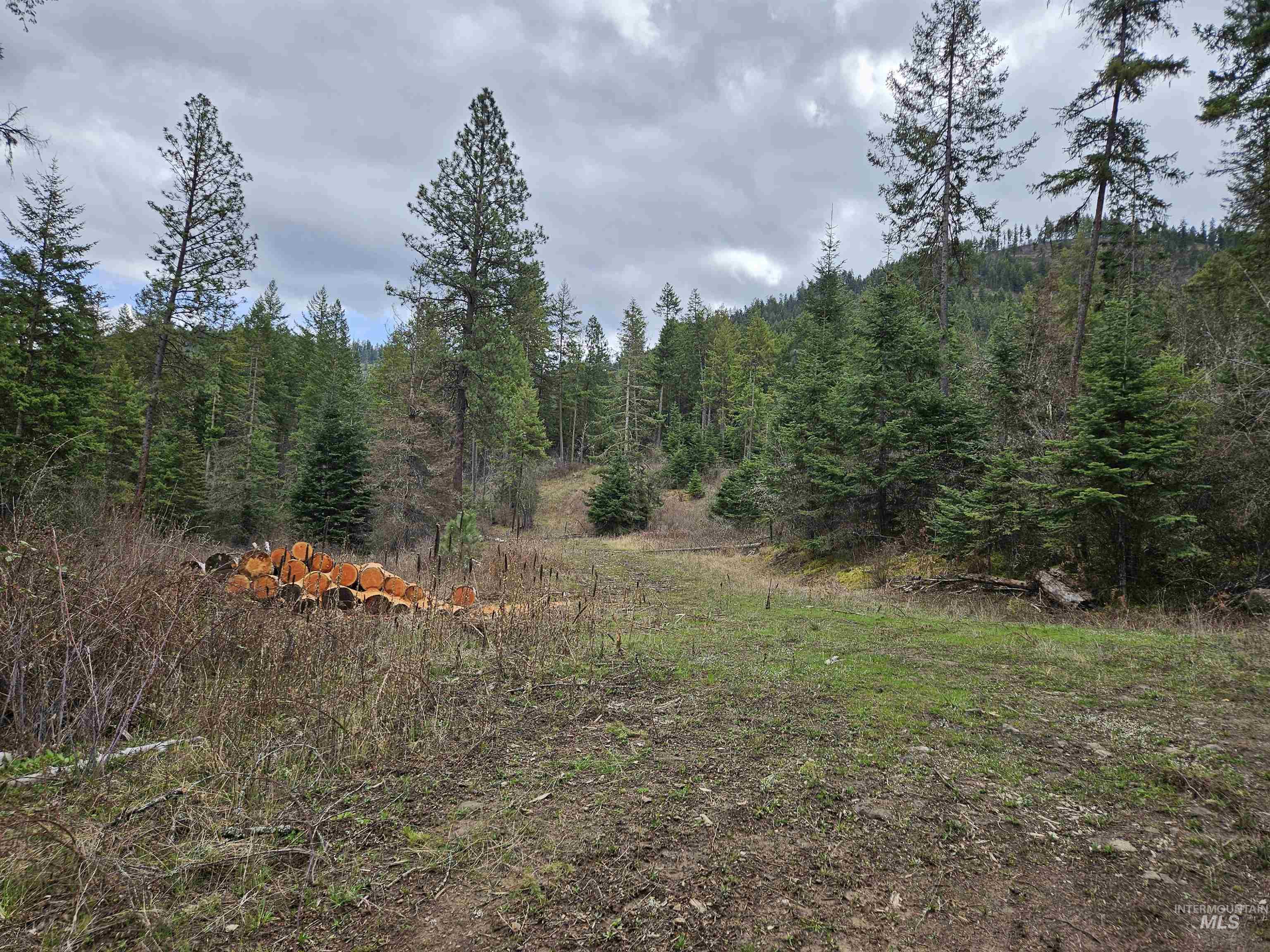 Tbd O'brien Property Photo 19