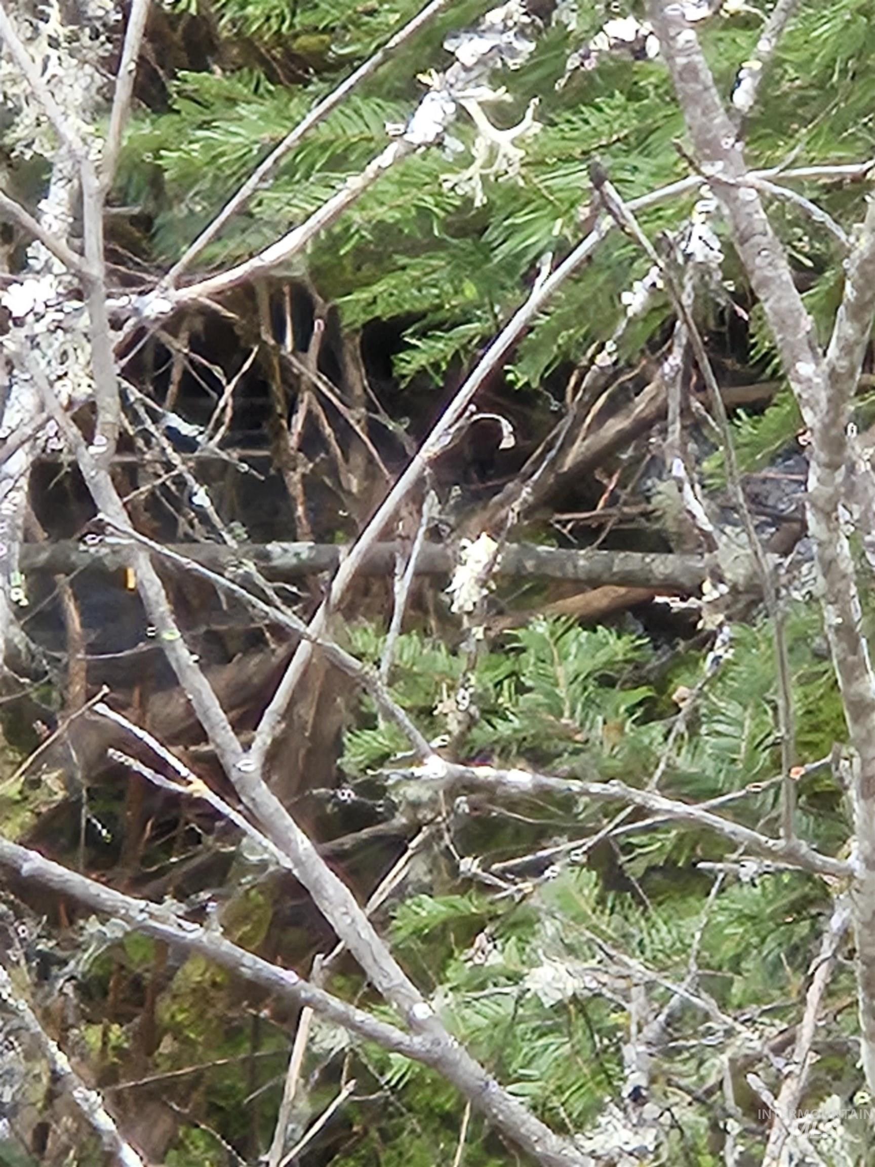 Tbd O'brien Property Photo 20