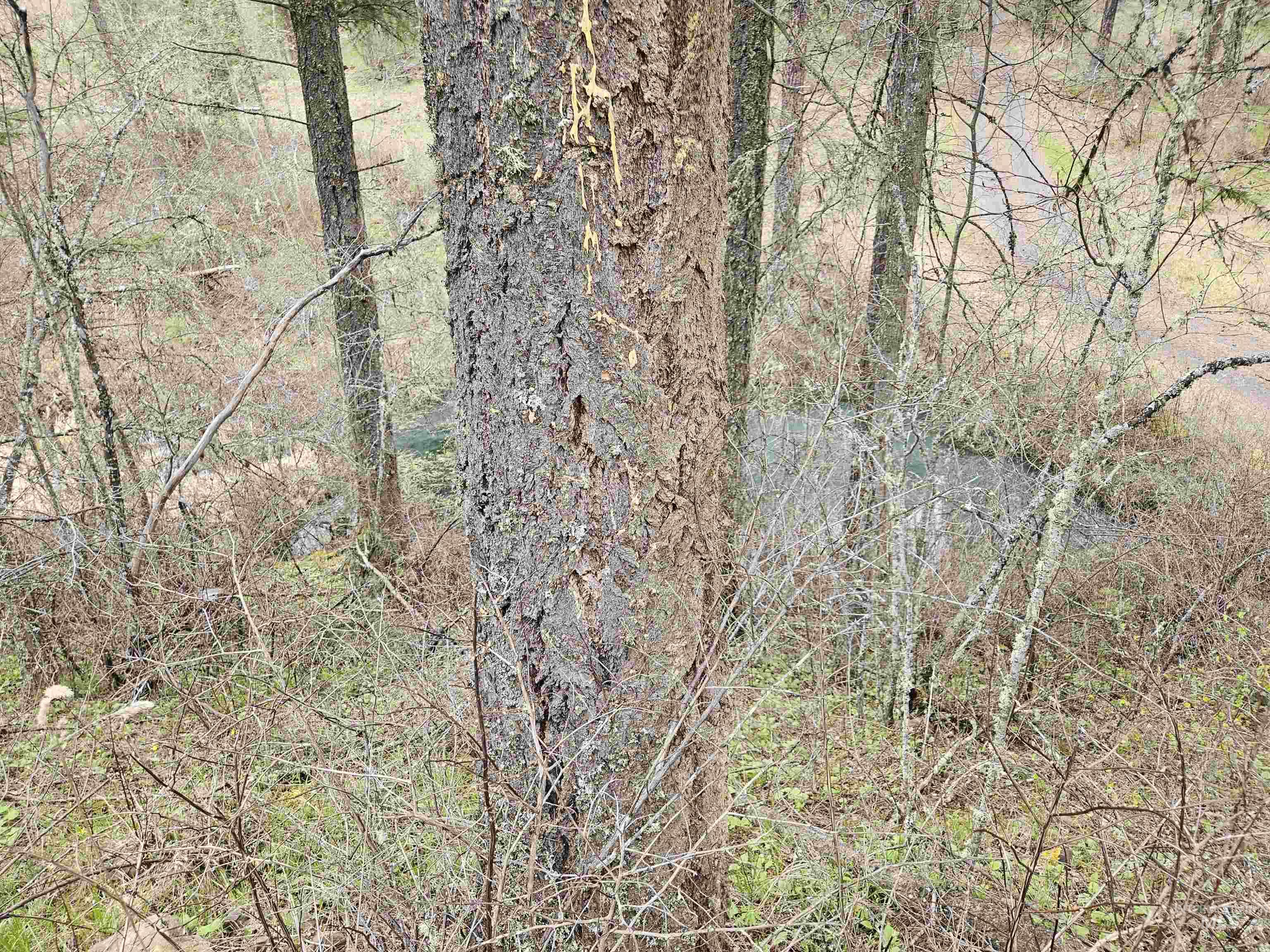 Tbd O'brien Property Photo 21