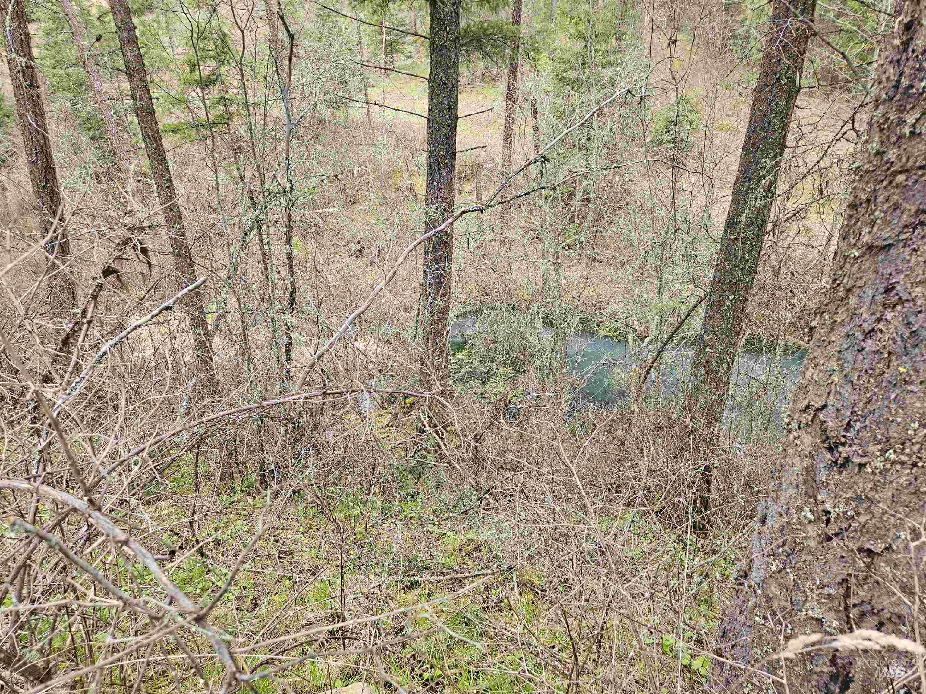 Tbd O'brien Property Photo 22