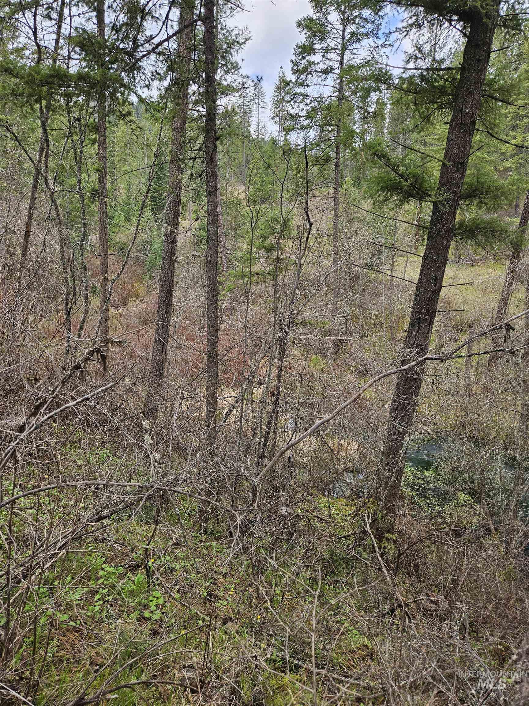 Tbd O'brien Property Photo 23