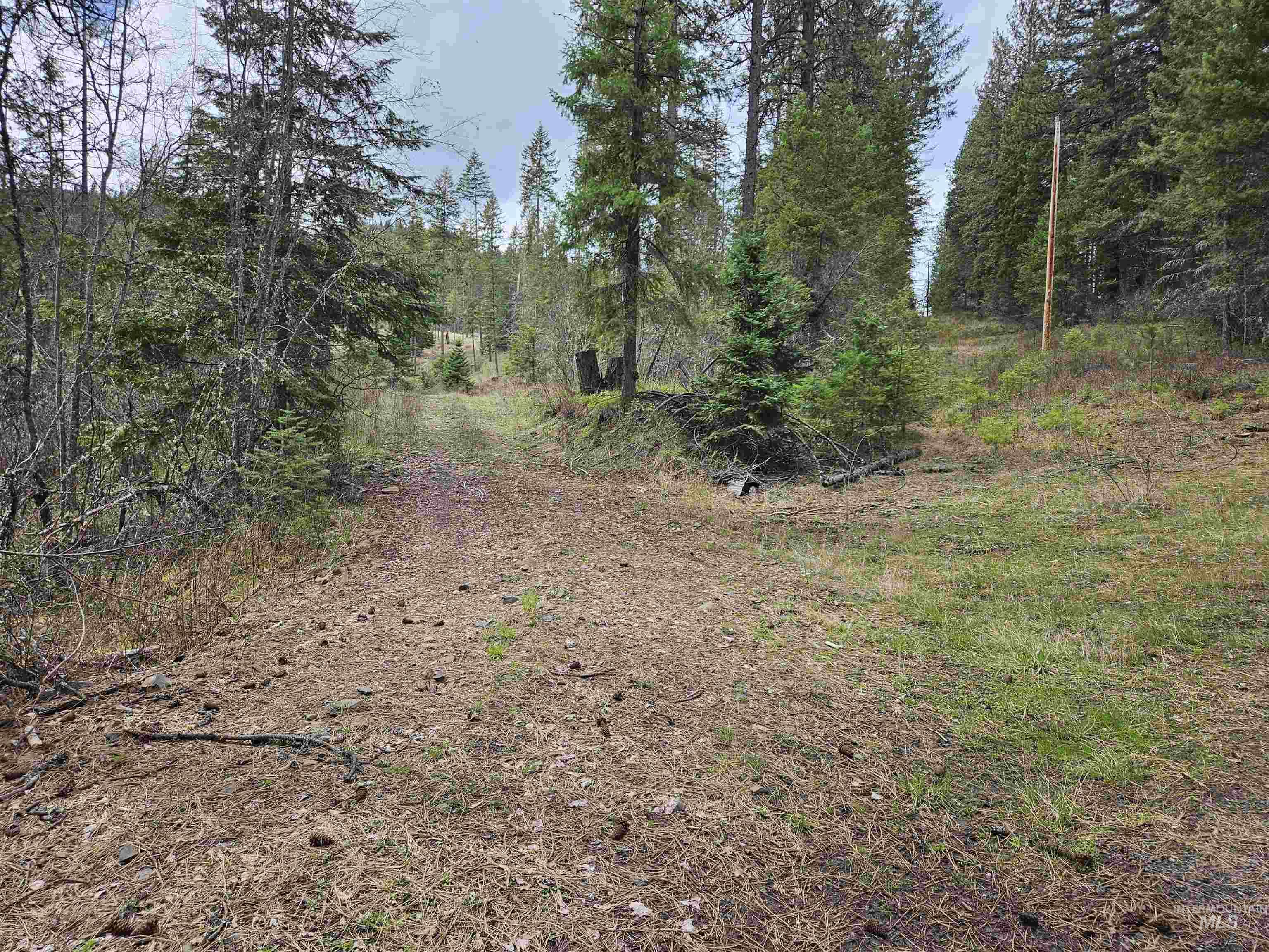 Tbd O'brien Property Photo 24
