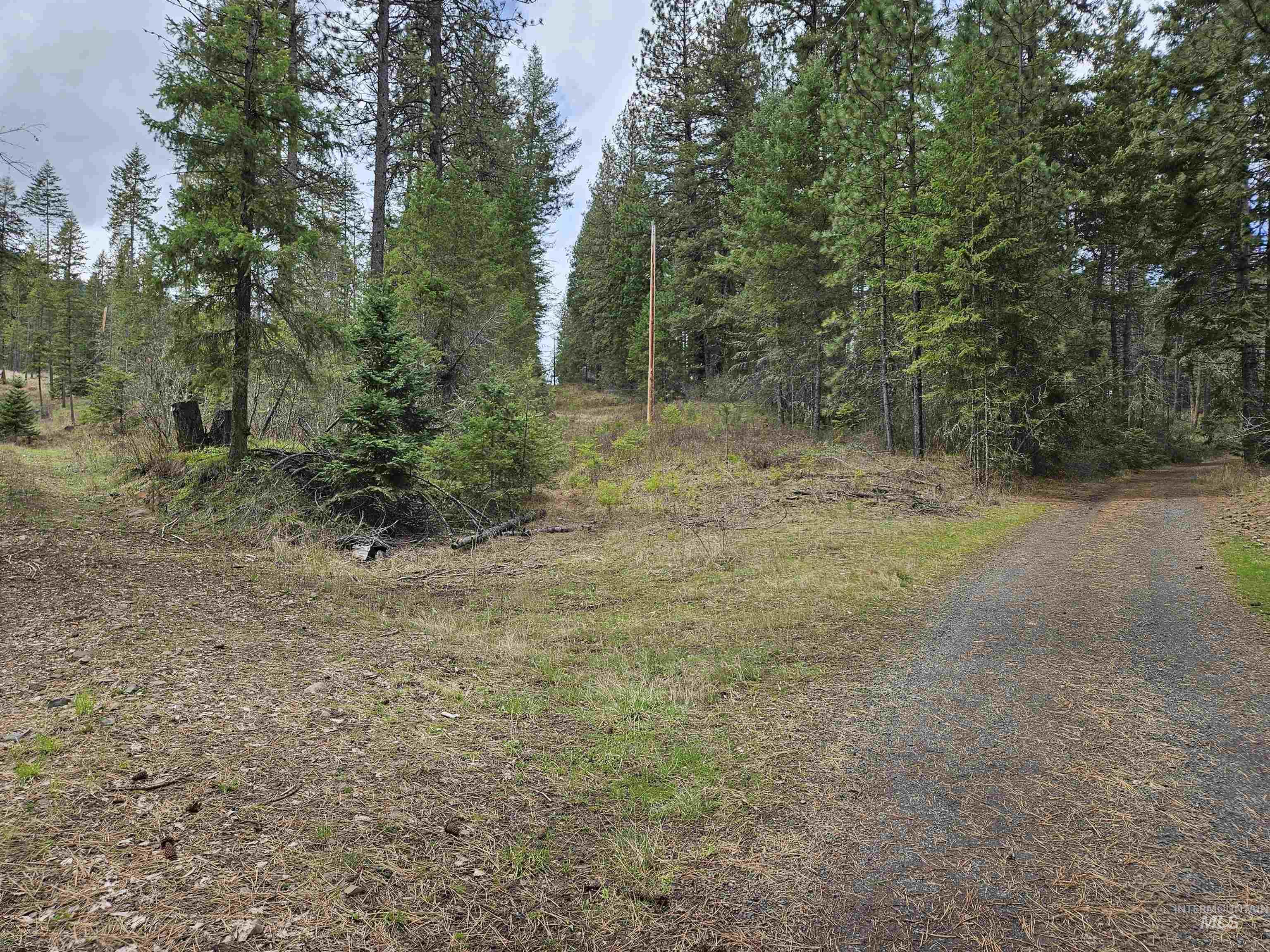 Tbd O'brien Property Photo 25