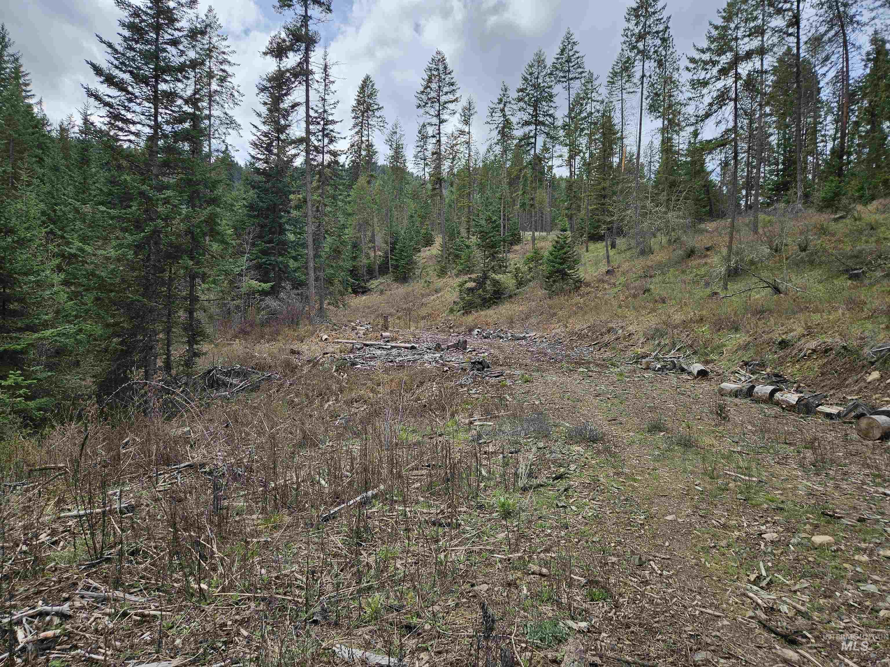 Tbd O'brien Property Photo 26