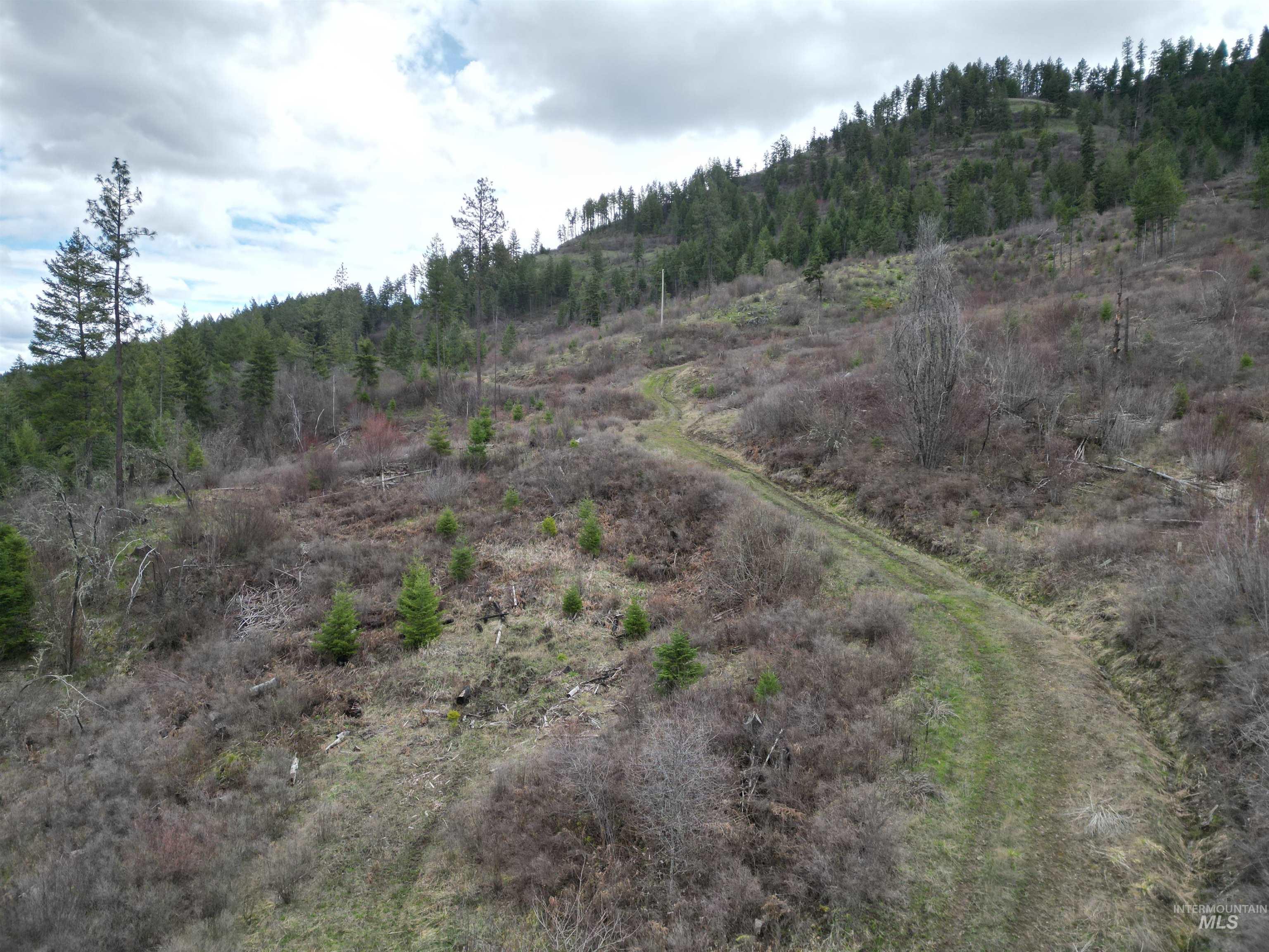 Tbd O'brien Property Photo 27