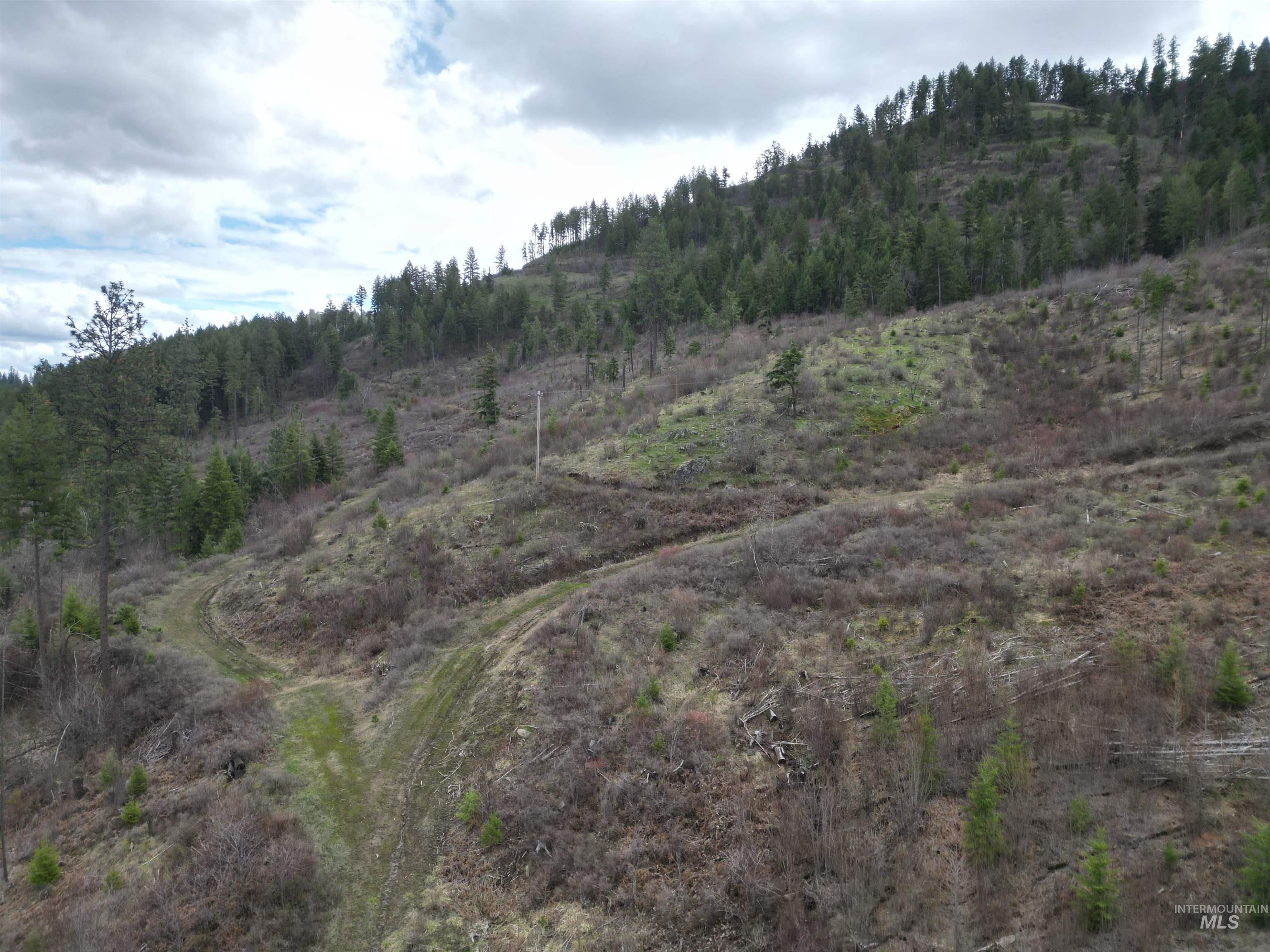 Tbd O'brien Property Photo 28