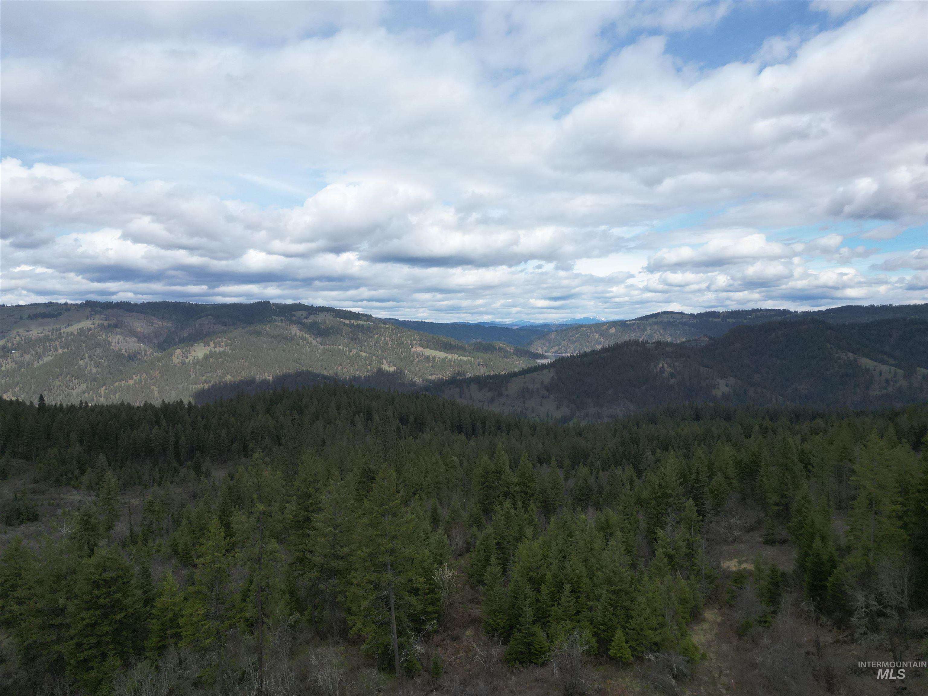 Tbd O'brien Property Photo 29