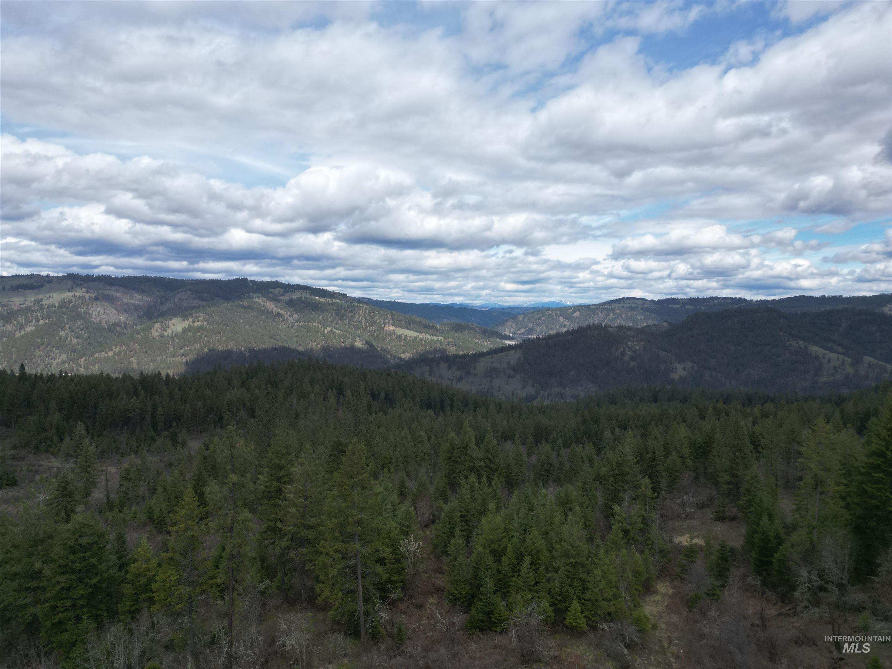 Tbd O'brien Property Photo 30