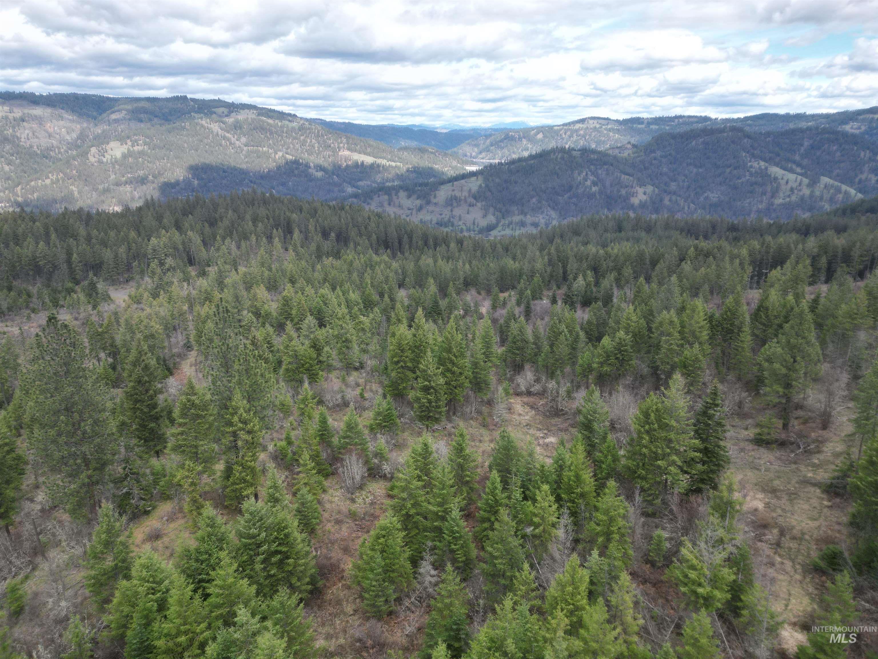 Tbd O'brien Property Photo 31