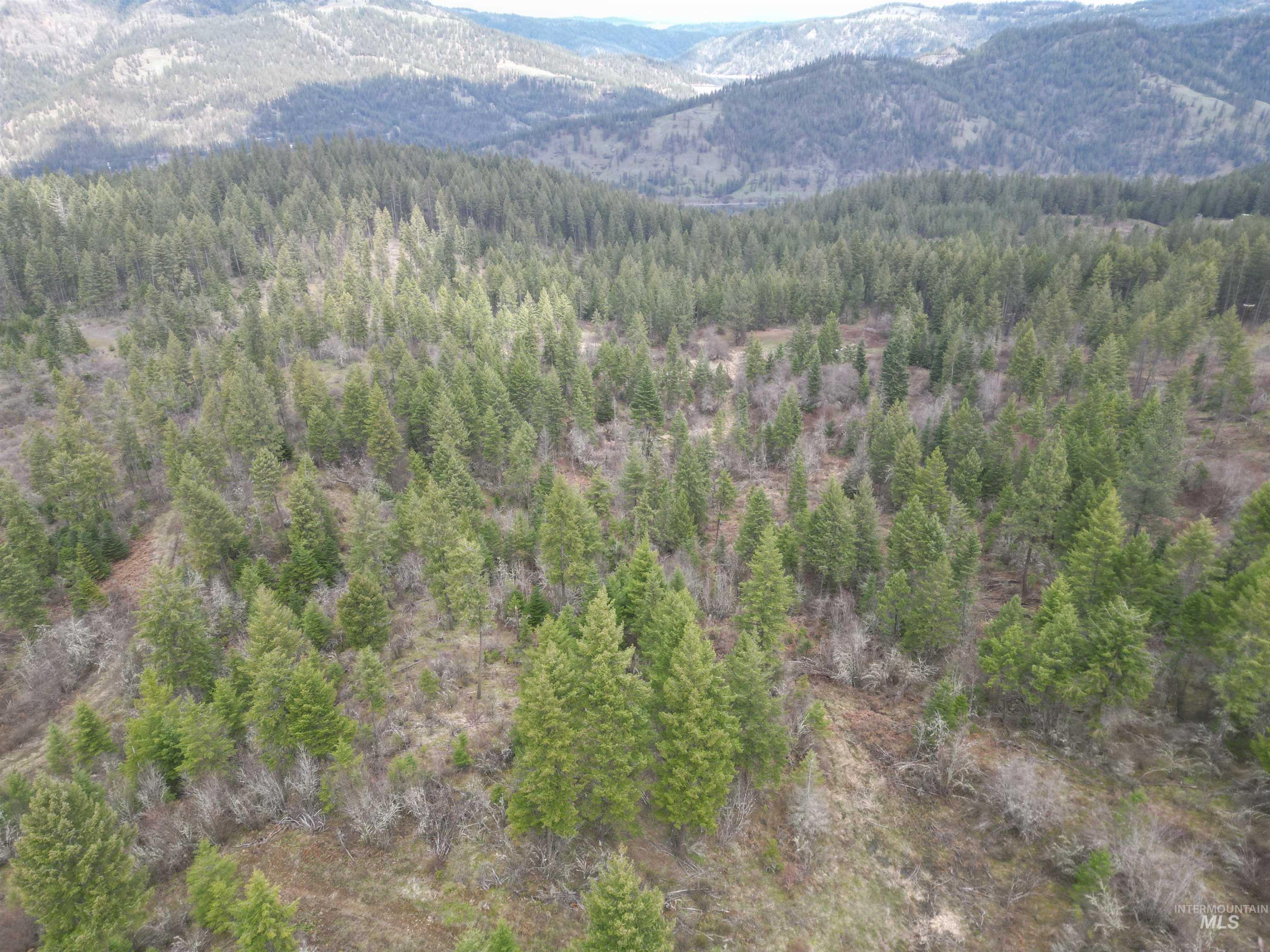 Tbd O'brien Property Photo 33