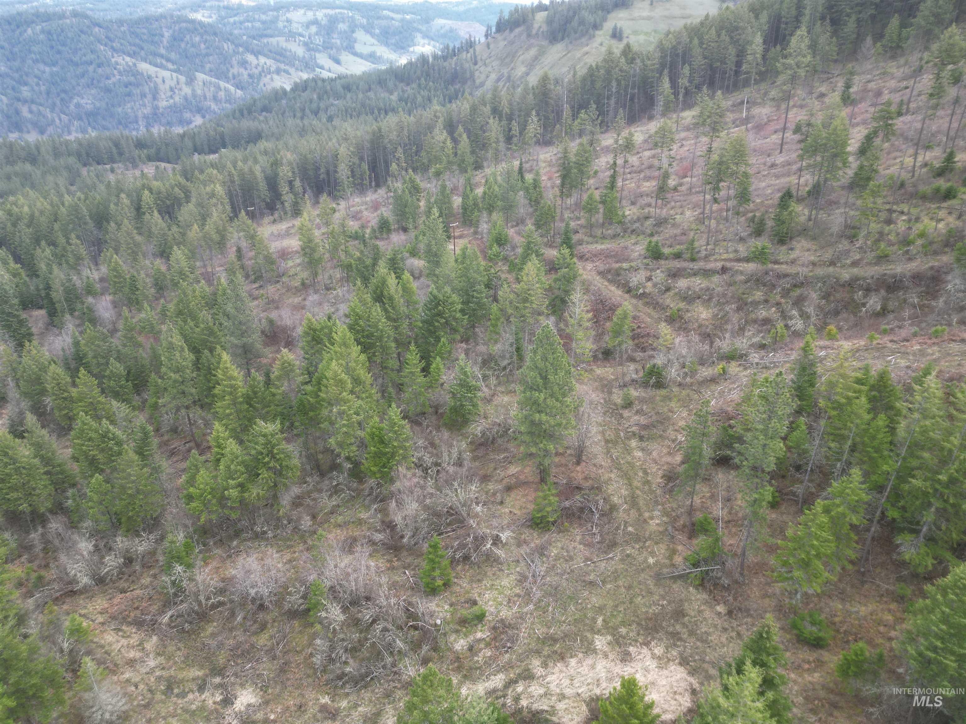 Tbd O'brien Property Photo 34