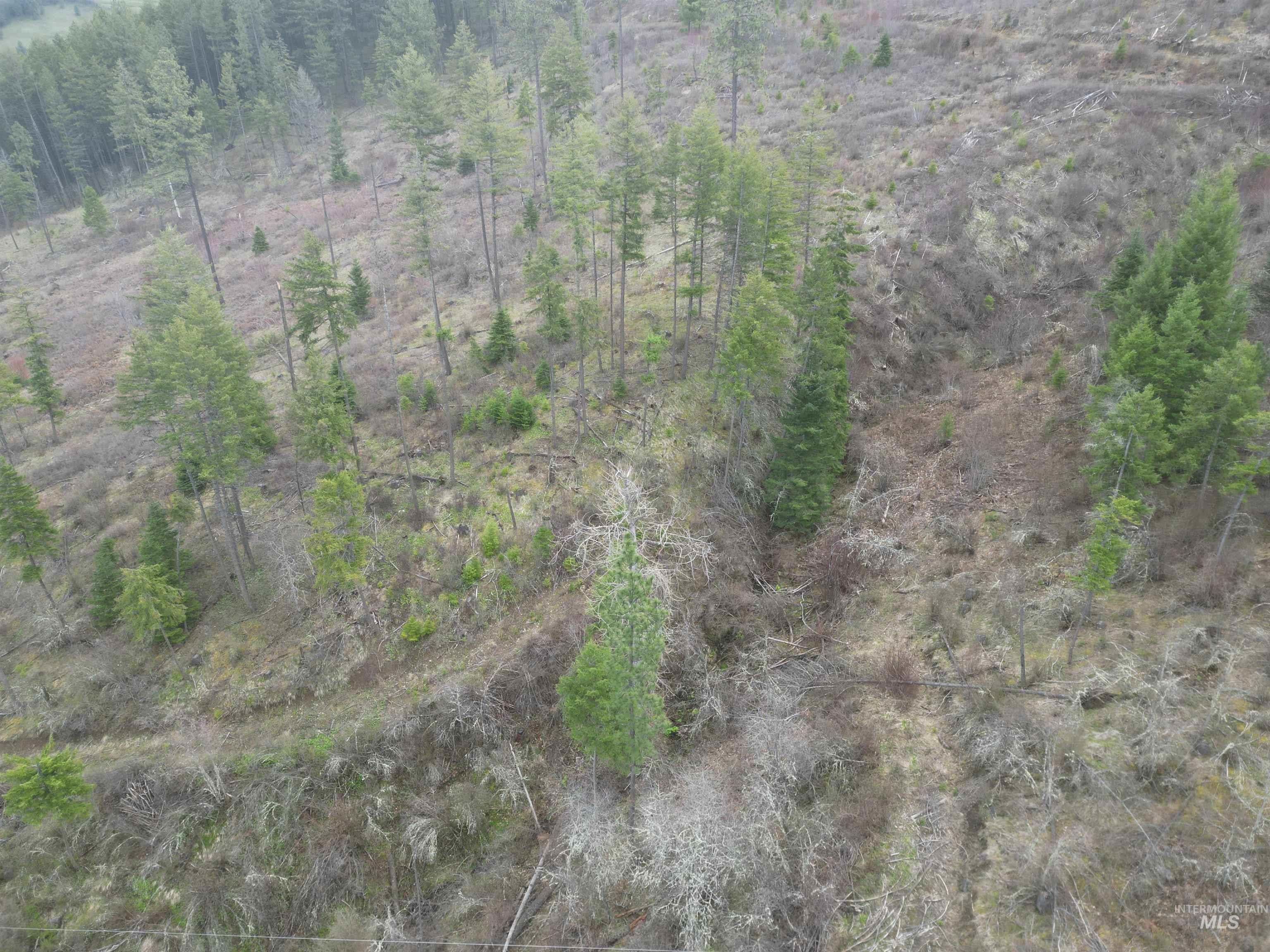 Tbd O'brien Property Photo 35