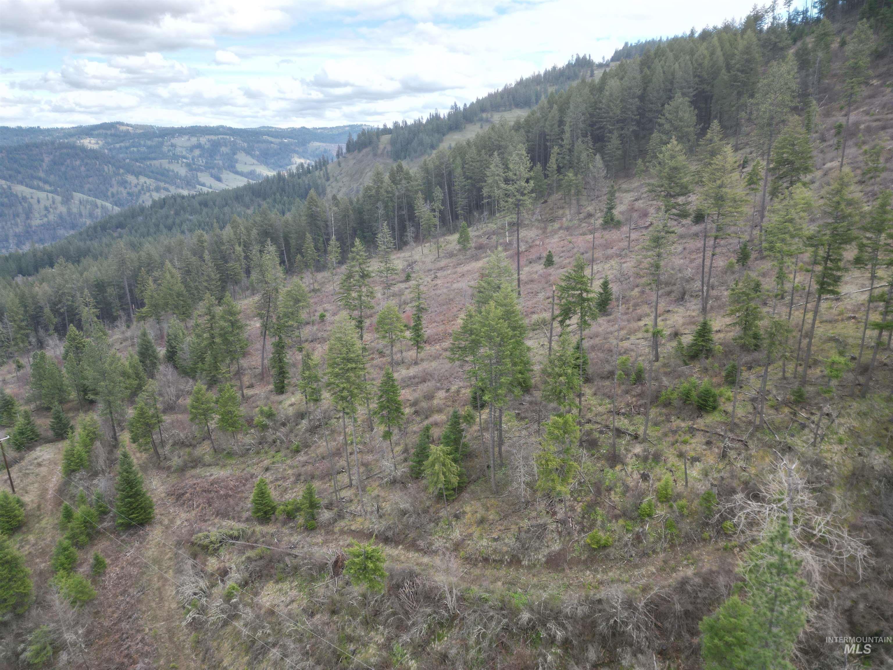 Tbd O'brien Property Photo 36