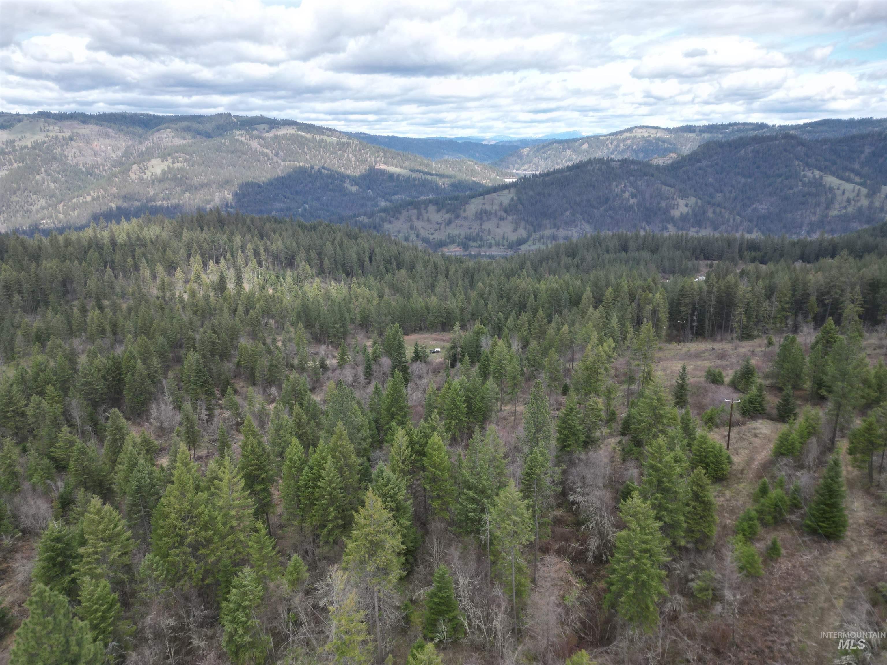 Tbd O'brien Property Photo 37