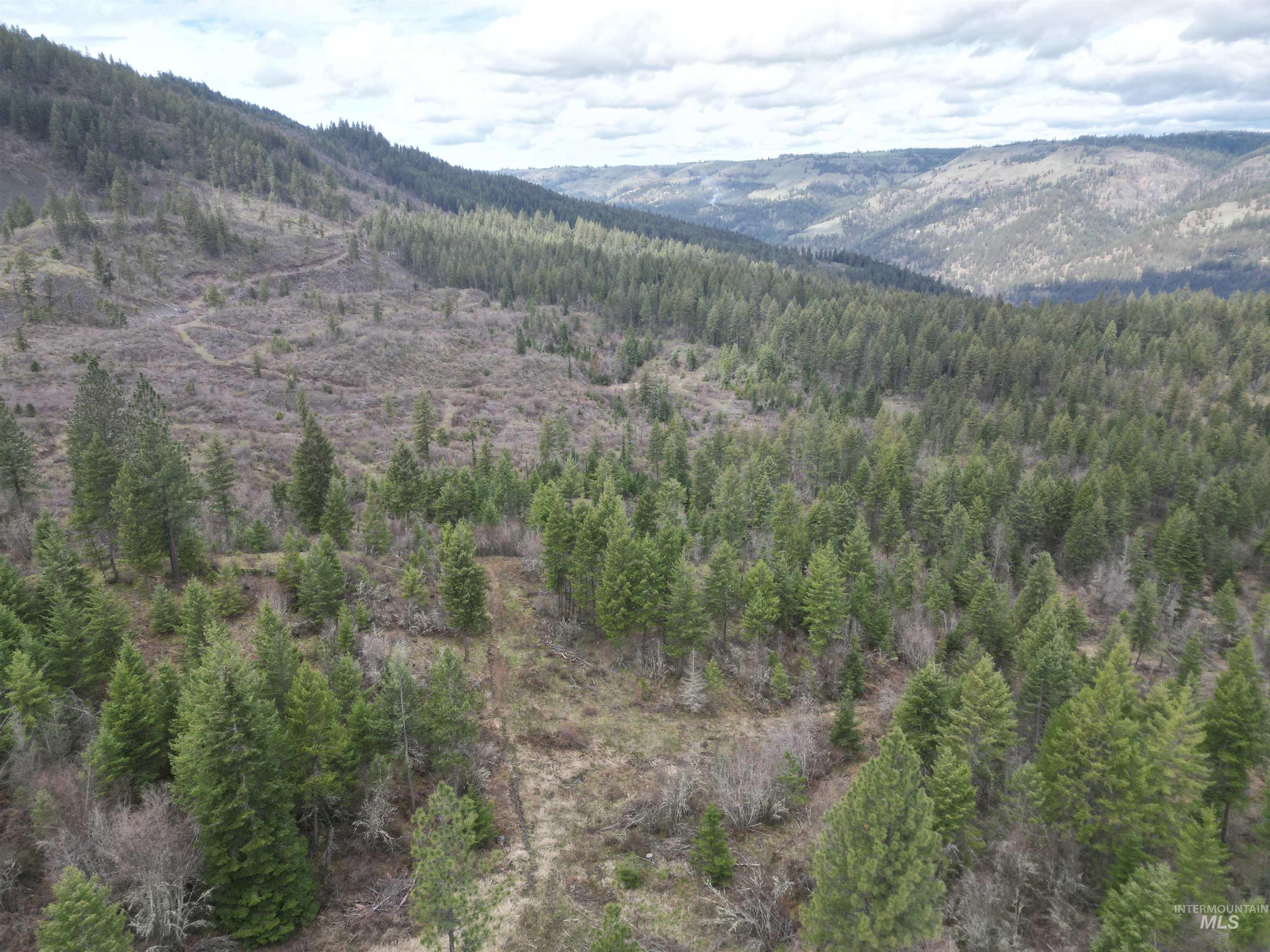 Tbd O'brien Property Photo 38