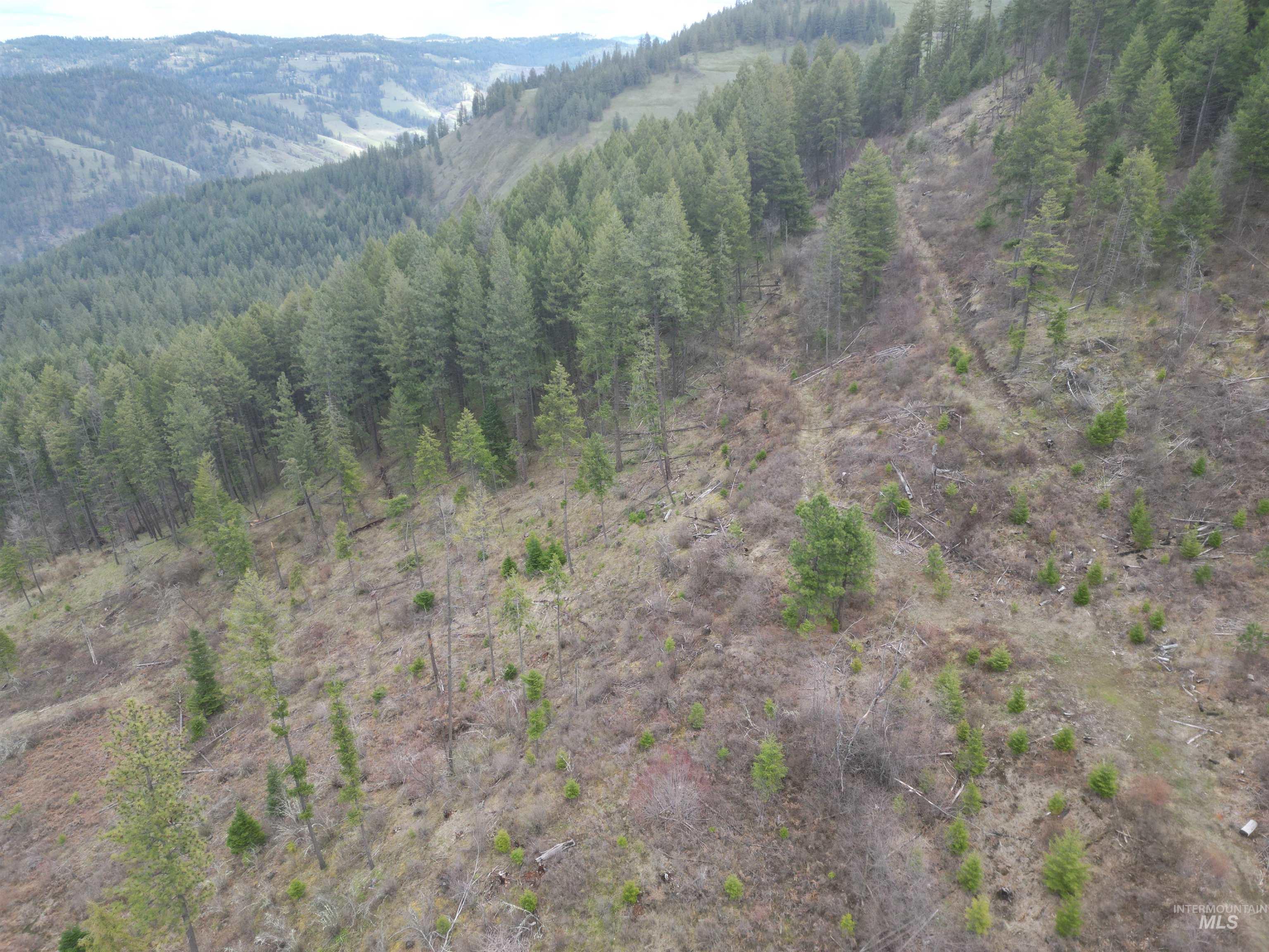 Tbd O'brien Property Photo 39