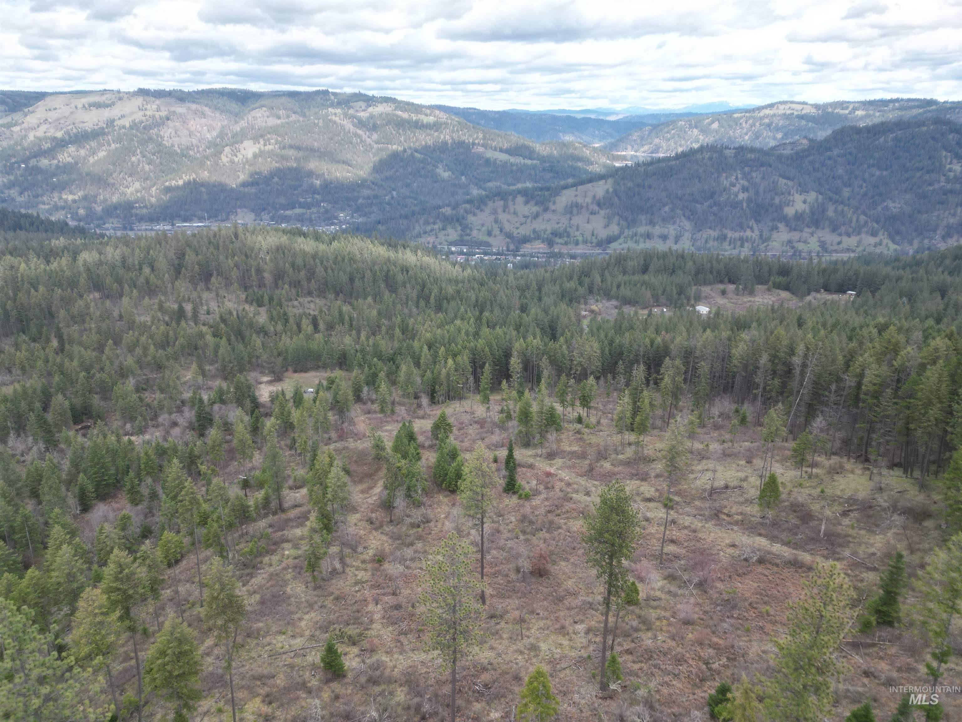 Tbd O'brien Property Photo 40