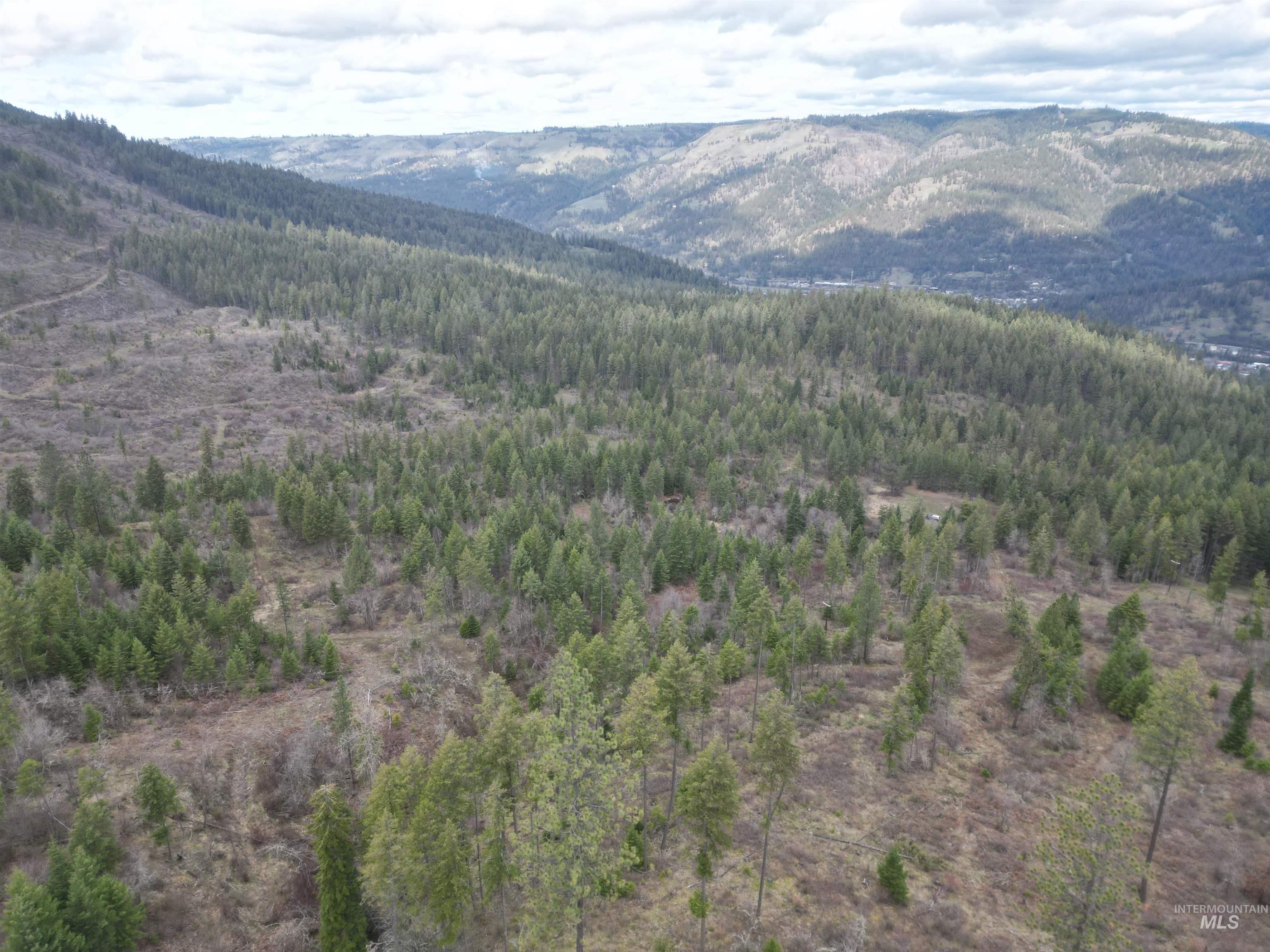Tbd O'brien Property Photo 41