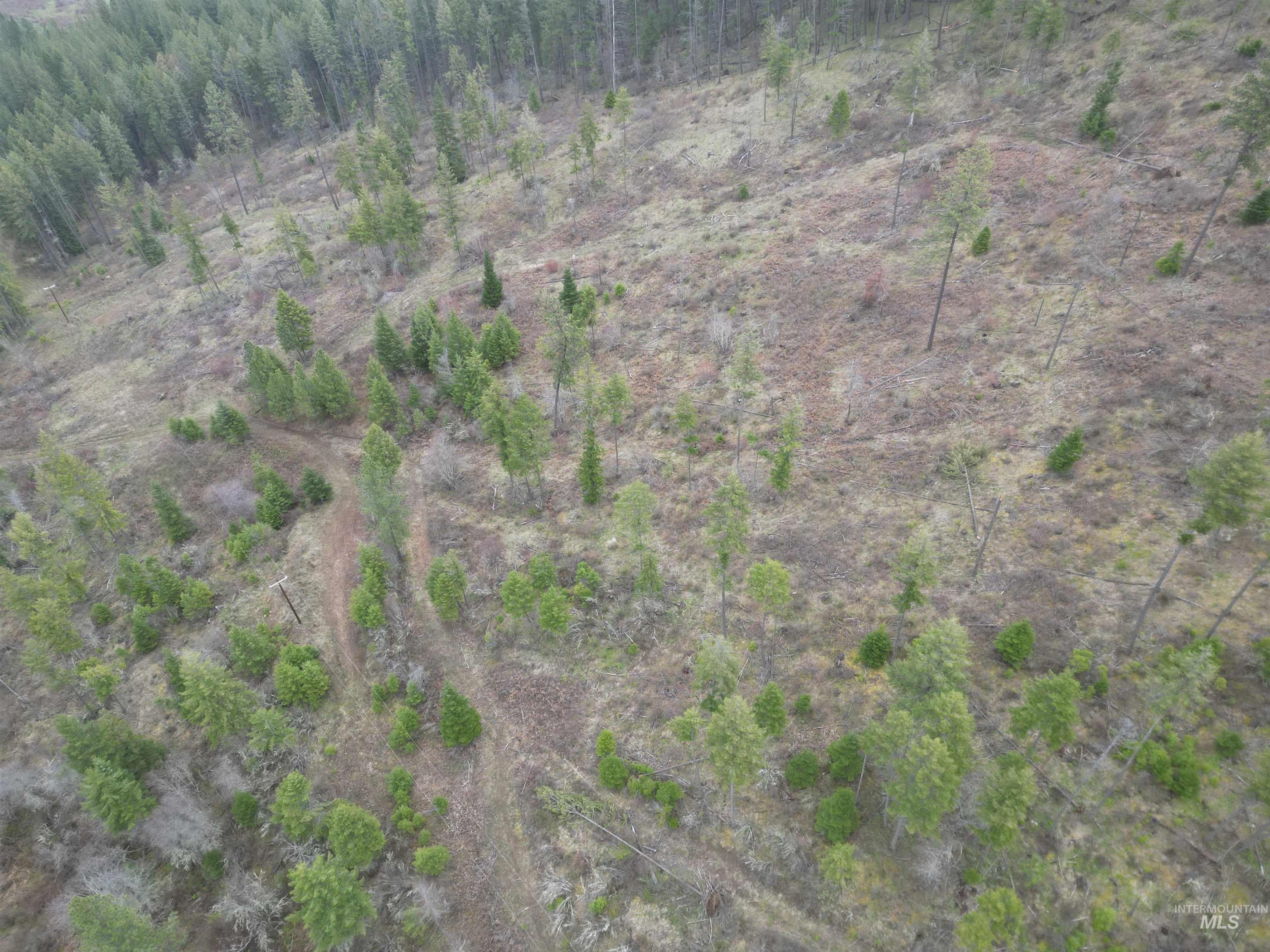 Tbd O'brien Property Photo 43