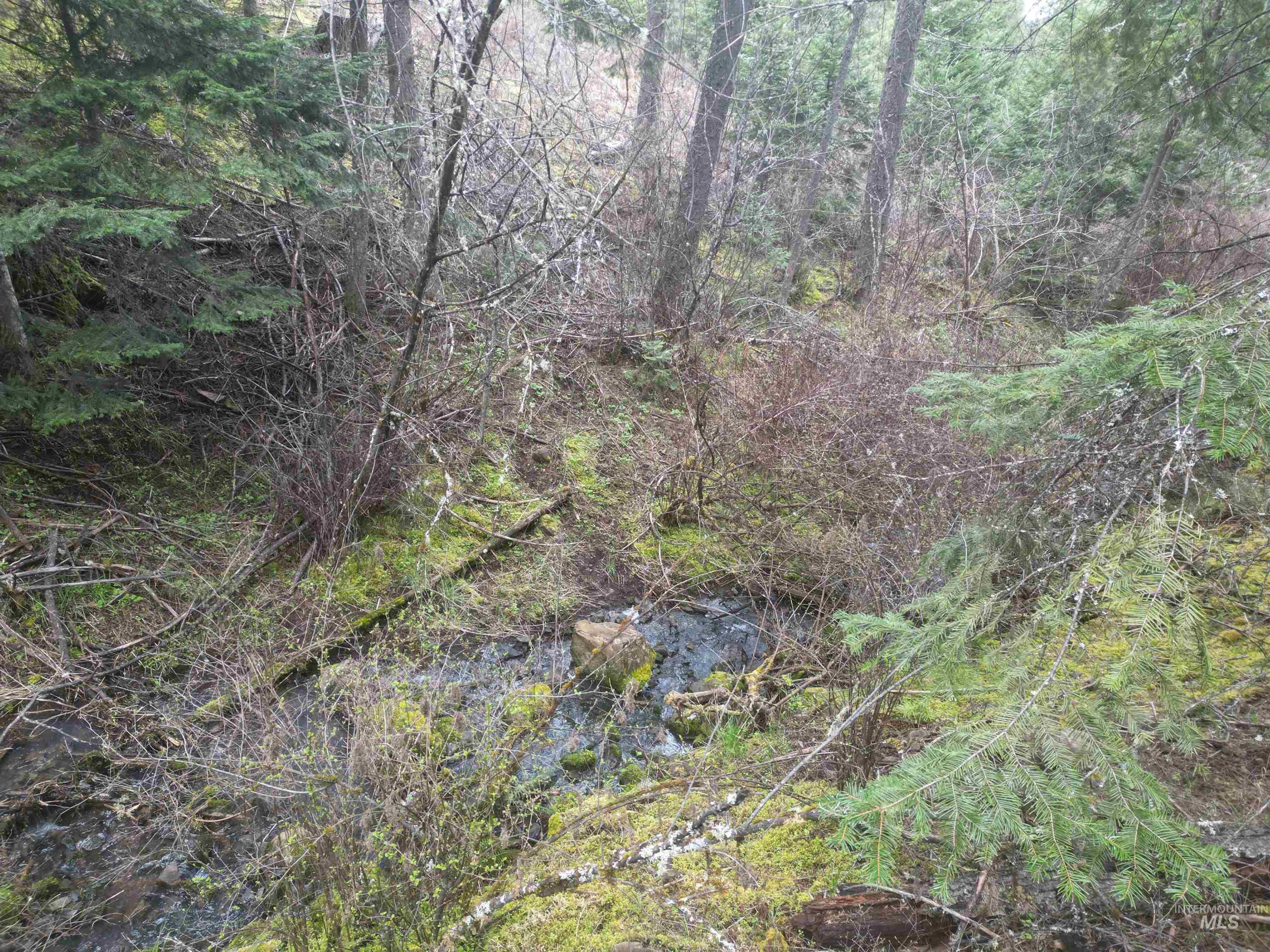 Tbd O'brien Property Photo 44