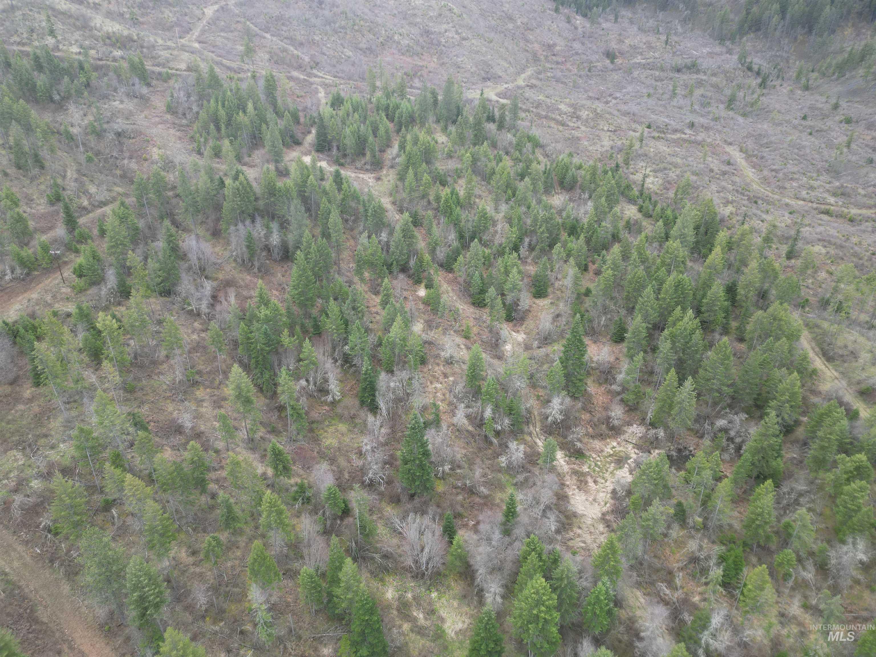Tbd O'brien Property Photo 50