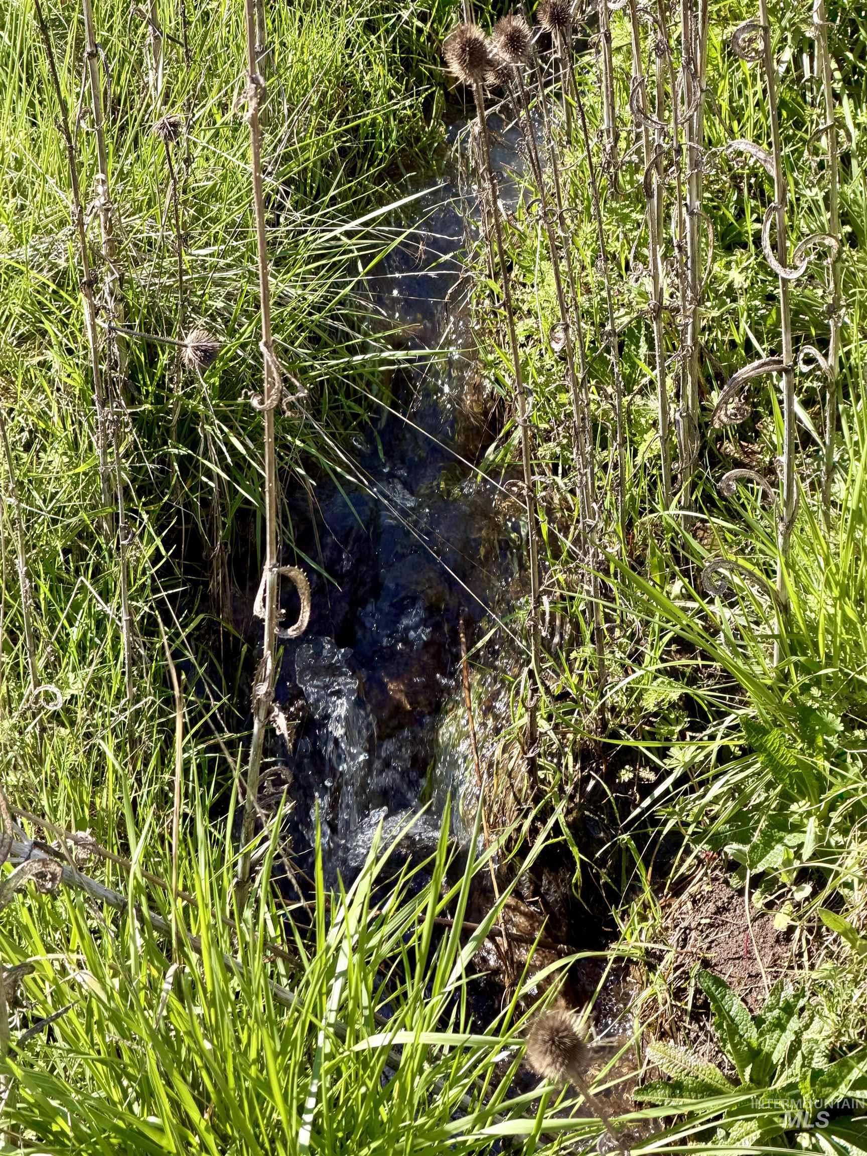 Tbd Hidden Canyon Road Property Photo 4