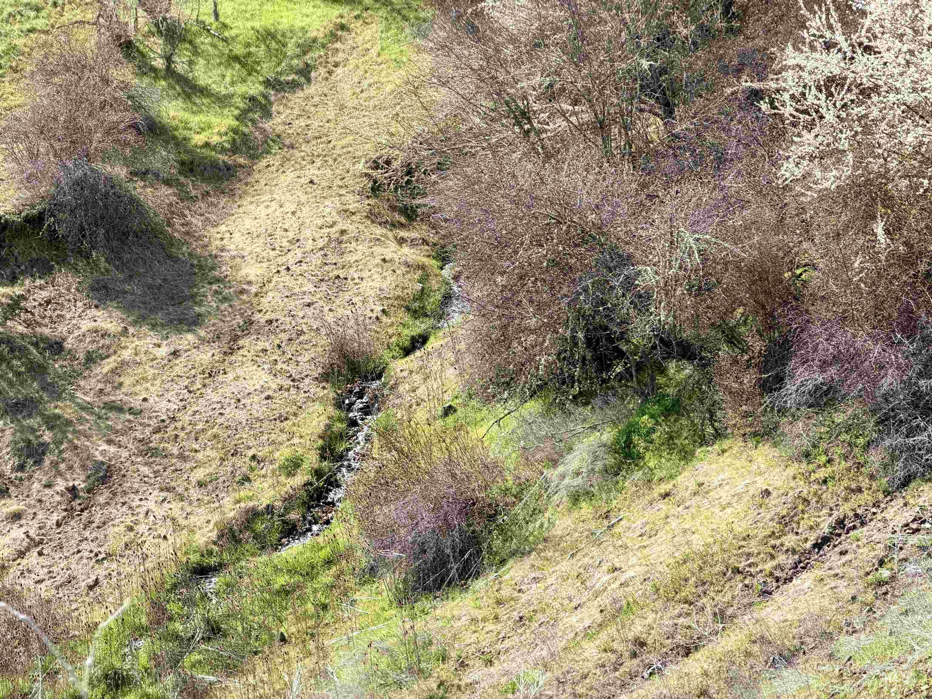 Tbd Hidden Canyon Road Property Photo 5