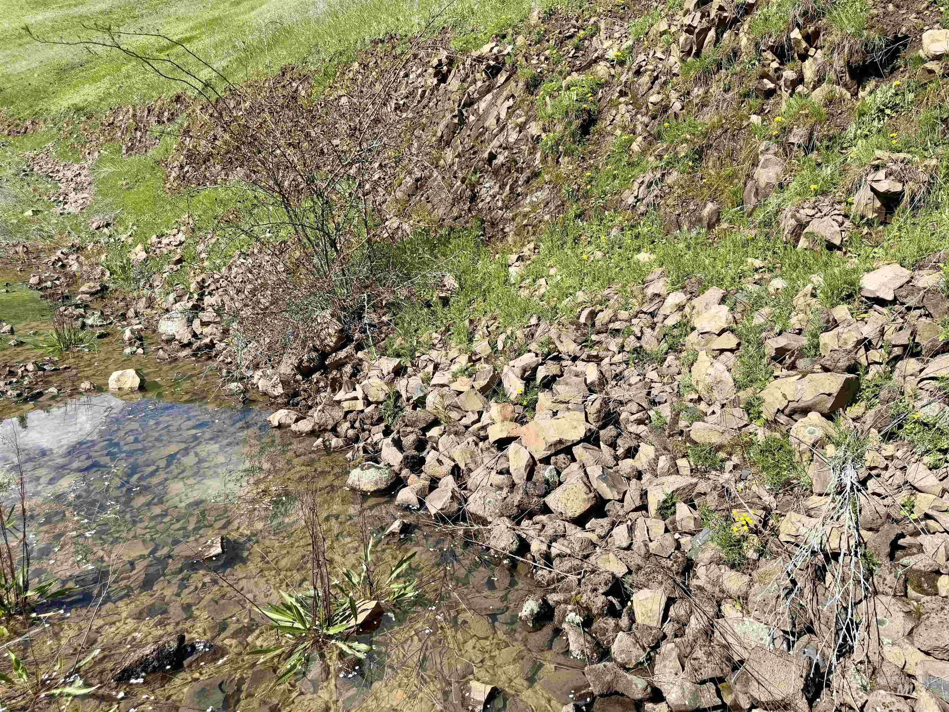 Tbd Hidden Canyon Road Property Photo 11