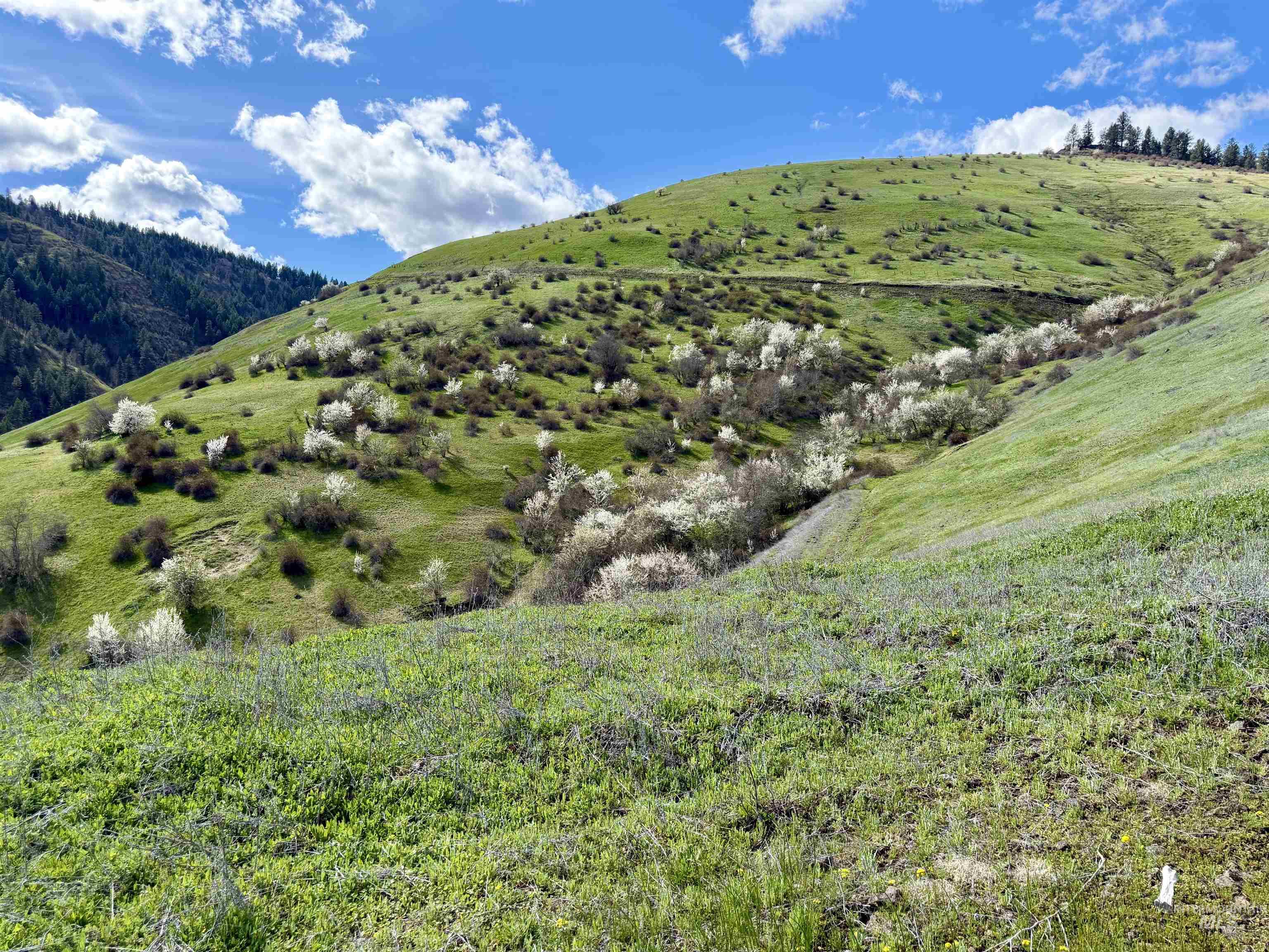 Tbd Hidden Canyon Road Property Photo 12