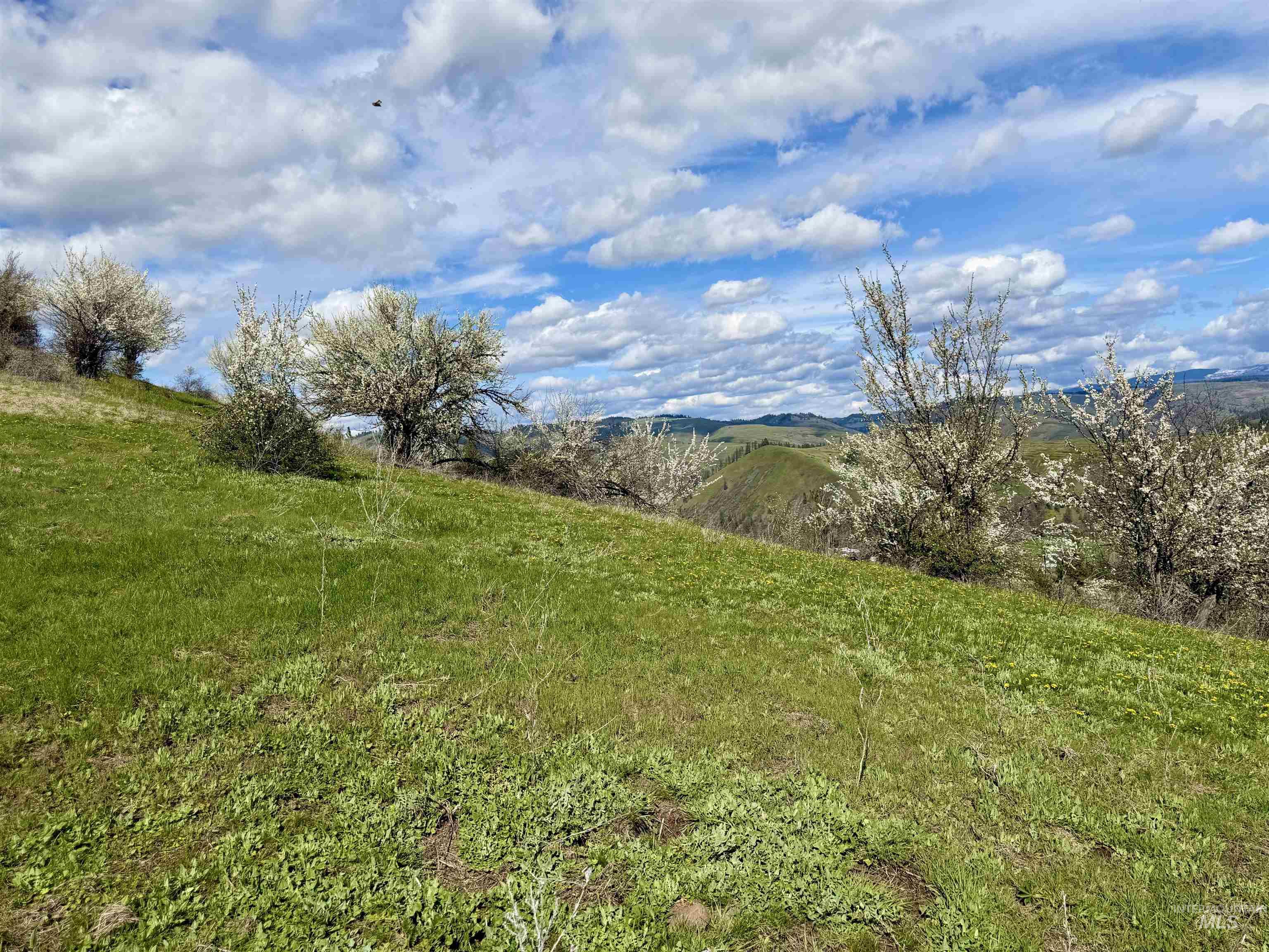 Tbd Hidden Canyon Road Property Photo 14
