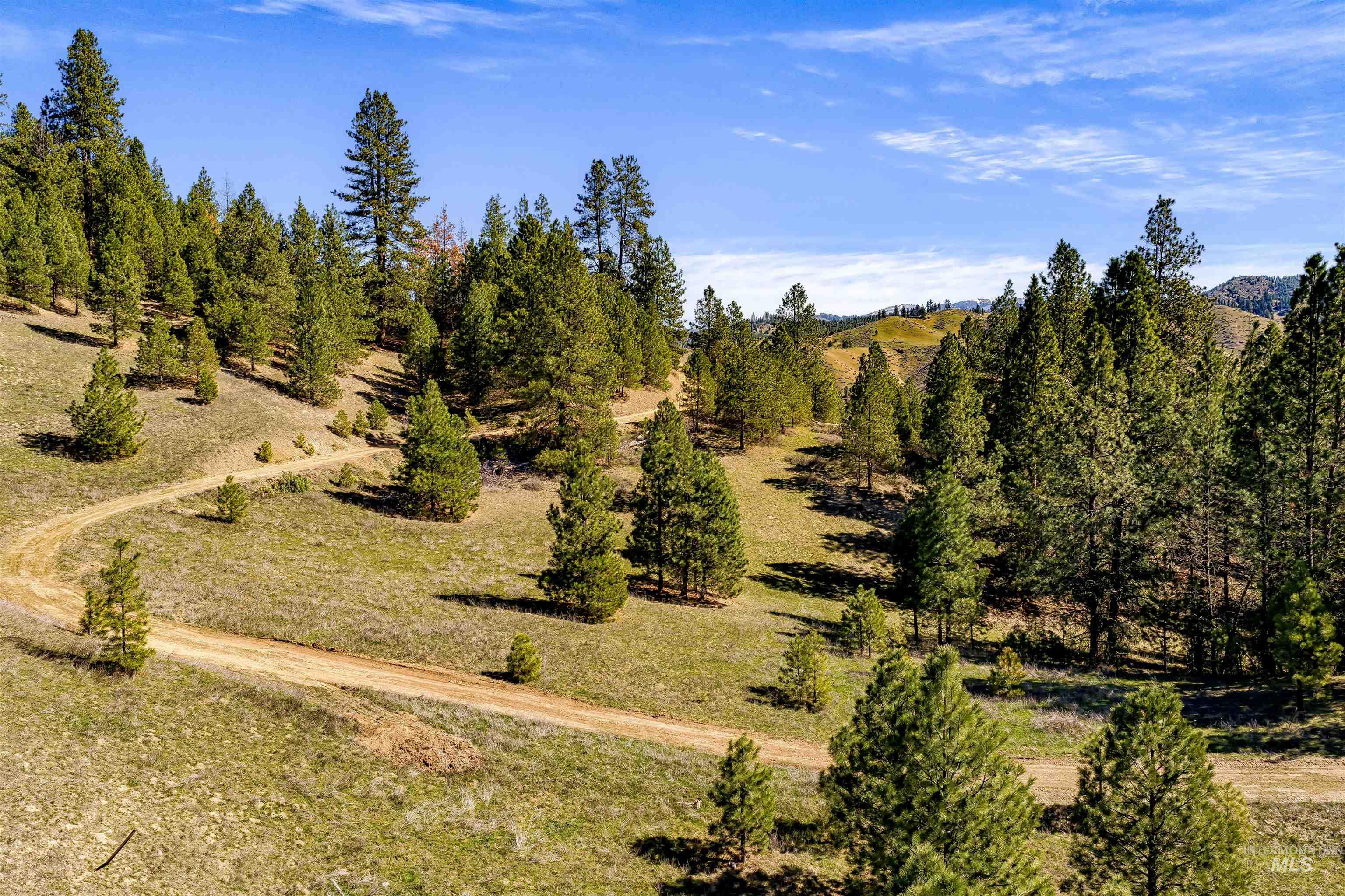 Tbd Chapman Lane (116.72ac) Property Photo 7