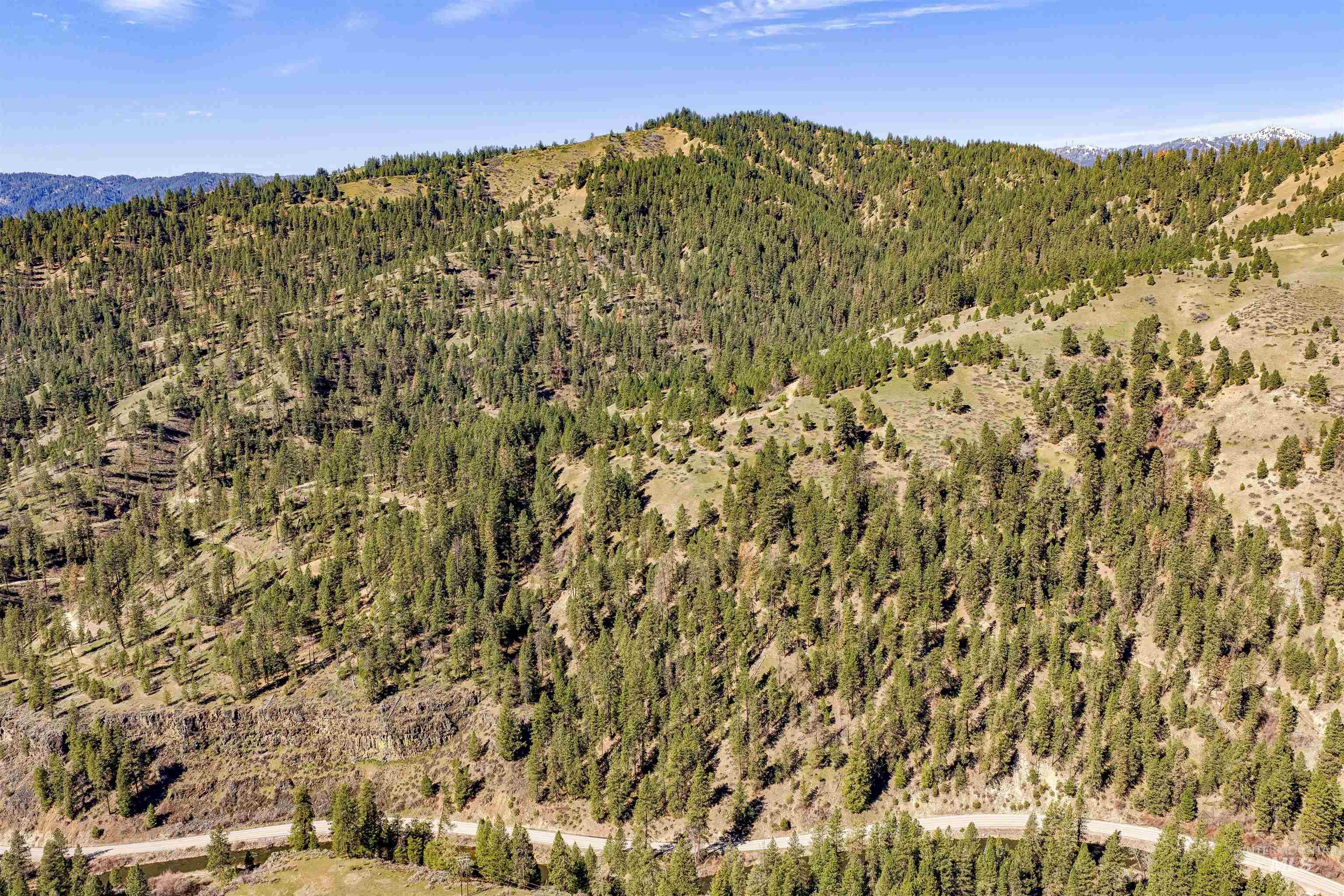 Tbd Chapman Lane (116.72ac) Property Photo 35