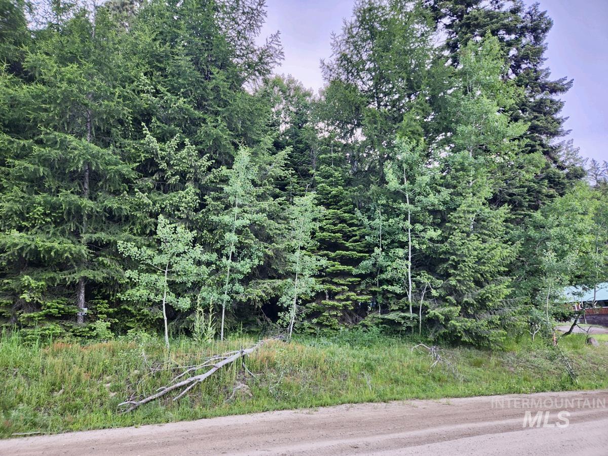 1457 West Mountain Road Property Photo 6