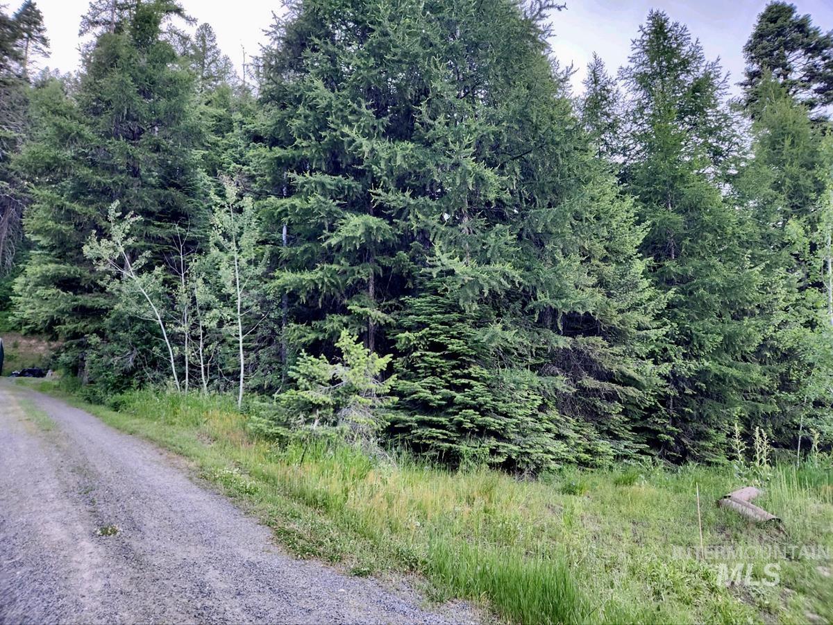 1457 West Mountain Road Property Photo 8
