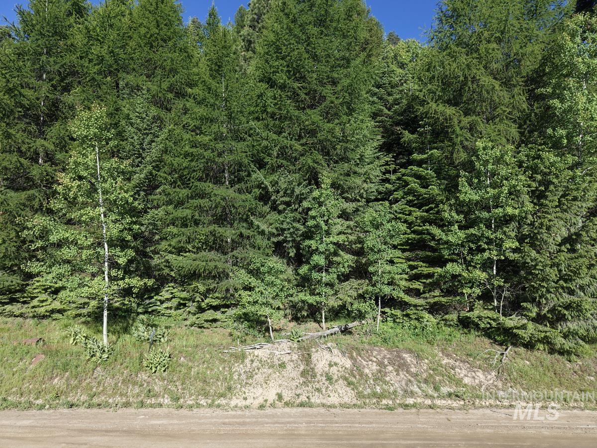 1457 West Mountain Road Property Photo 10