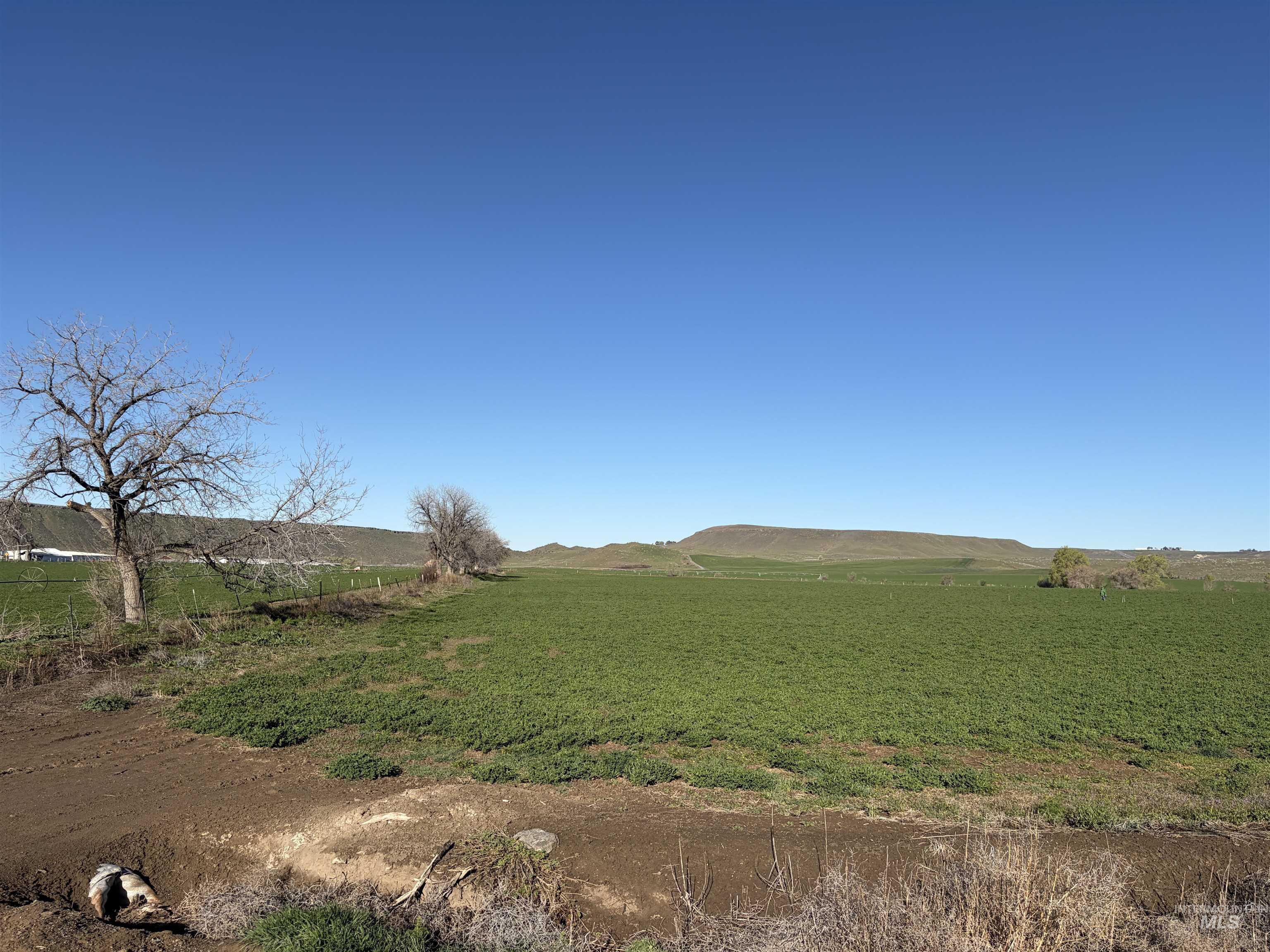 Tbd S Thacker Road Property Photo 3