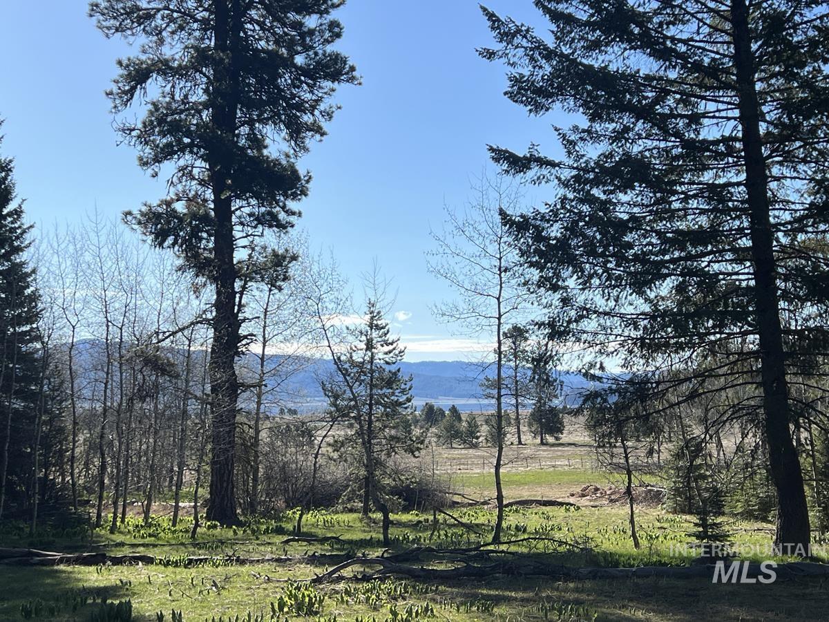 1792 Canary Trail Property Photo 1