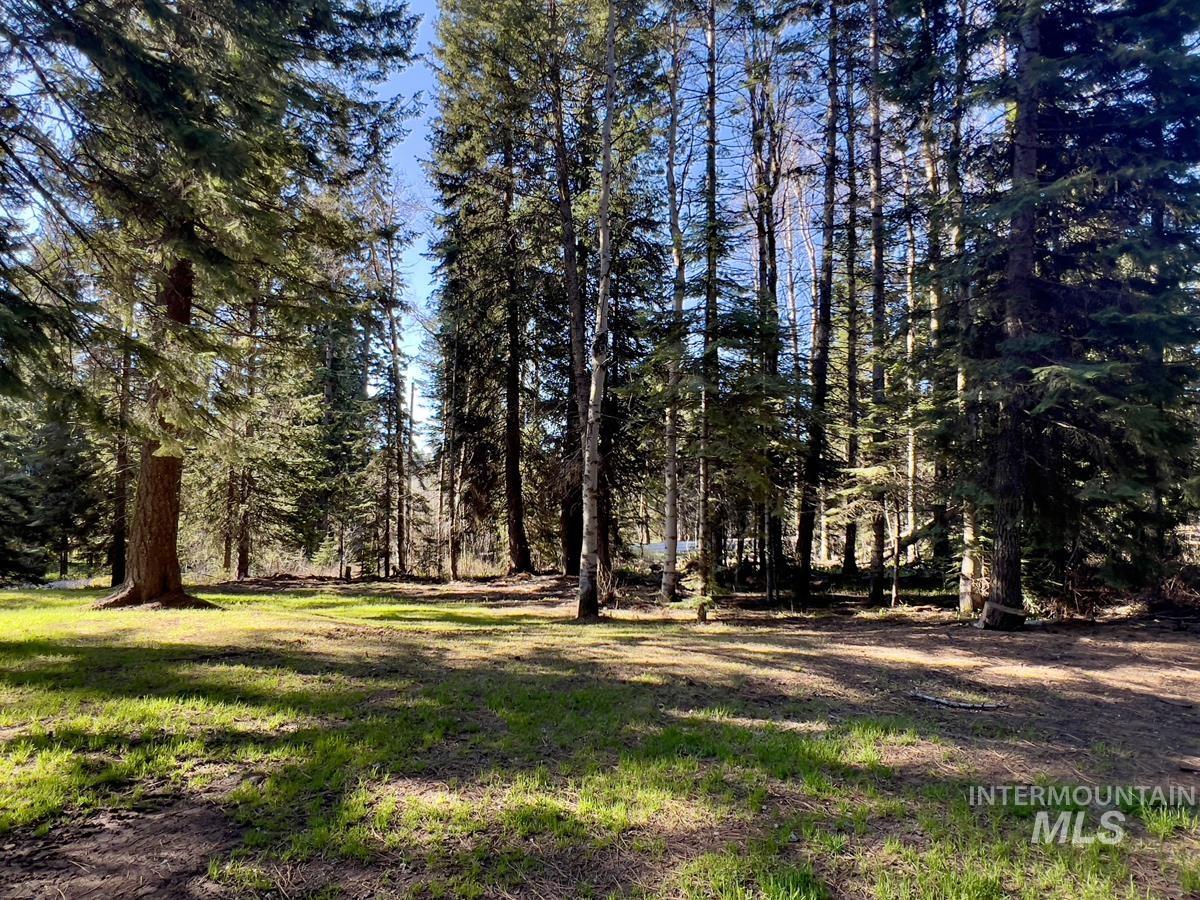 1792 Canary Trail Property Photo 2