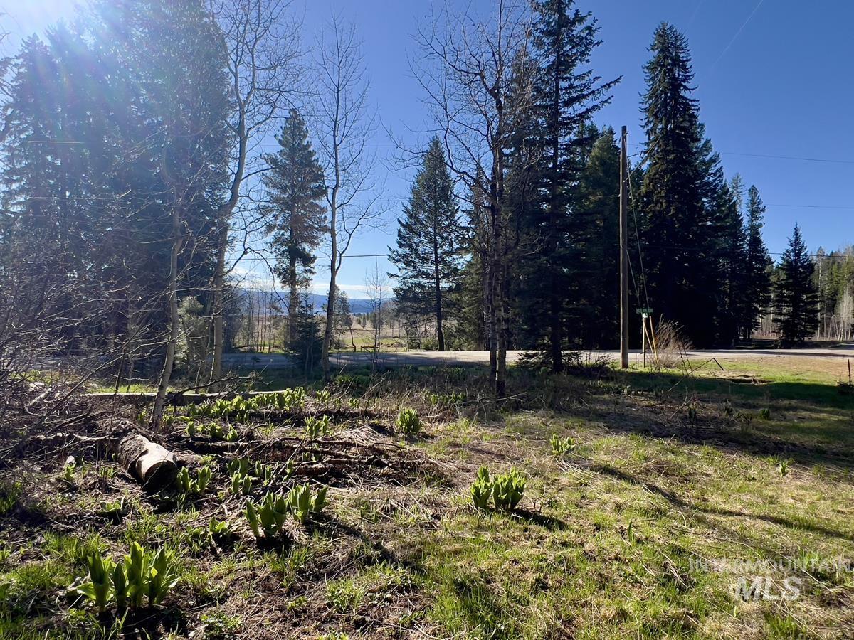 1792 Canary Trail Property Photo 3