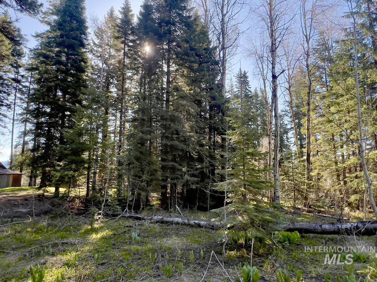 1792 Canary Trail Property Photo 6