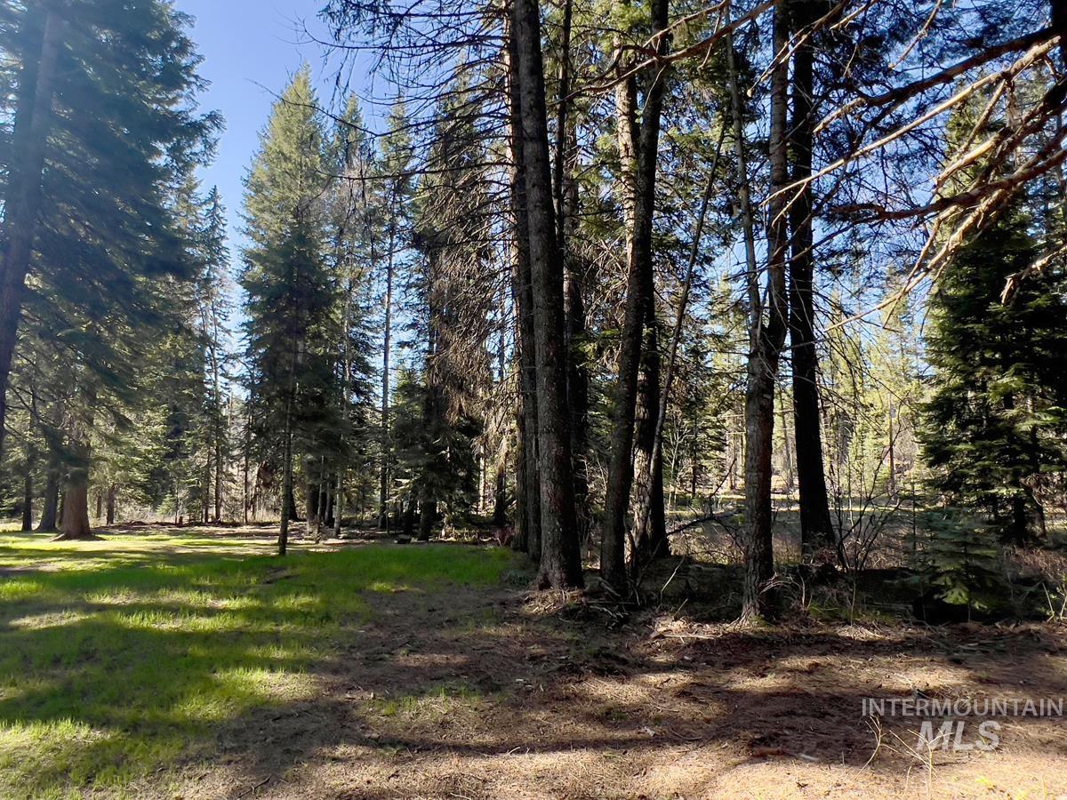 1792 Canary Trail Property Photo 7