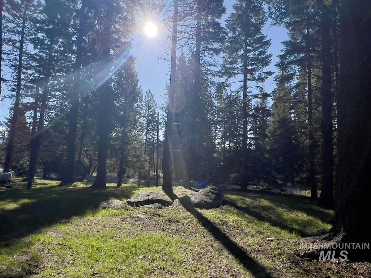 1792 Canary Trail Property Photo 9