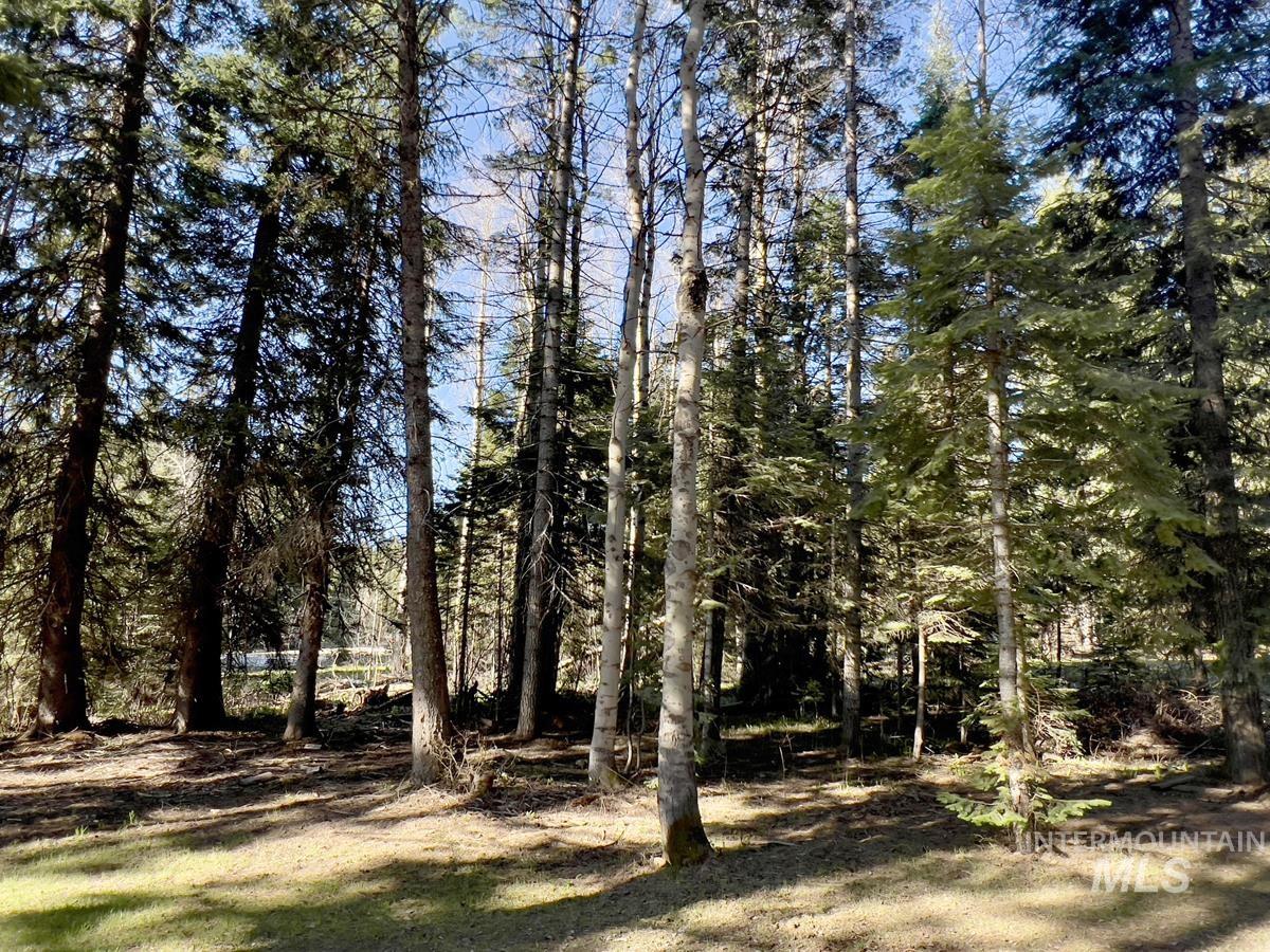 1792 Canary Trail Property Photo 10