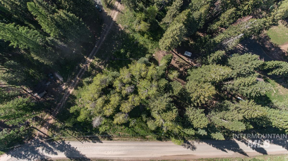 1792 Canary Trail Property Photo 12