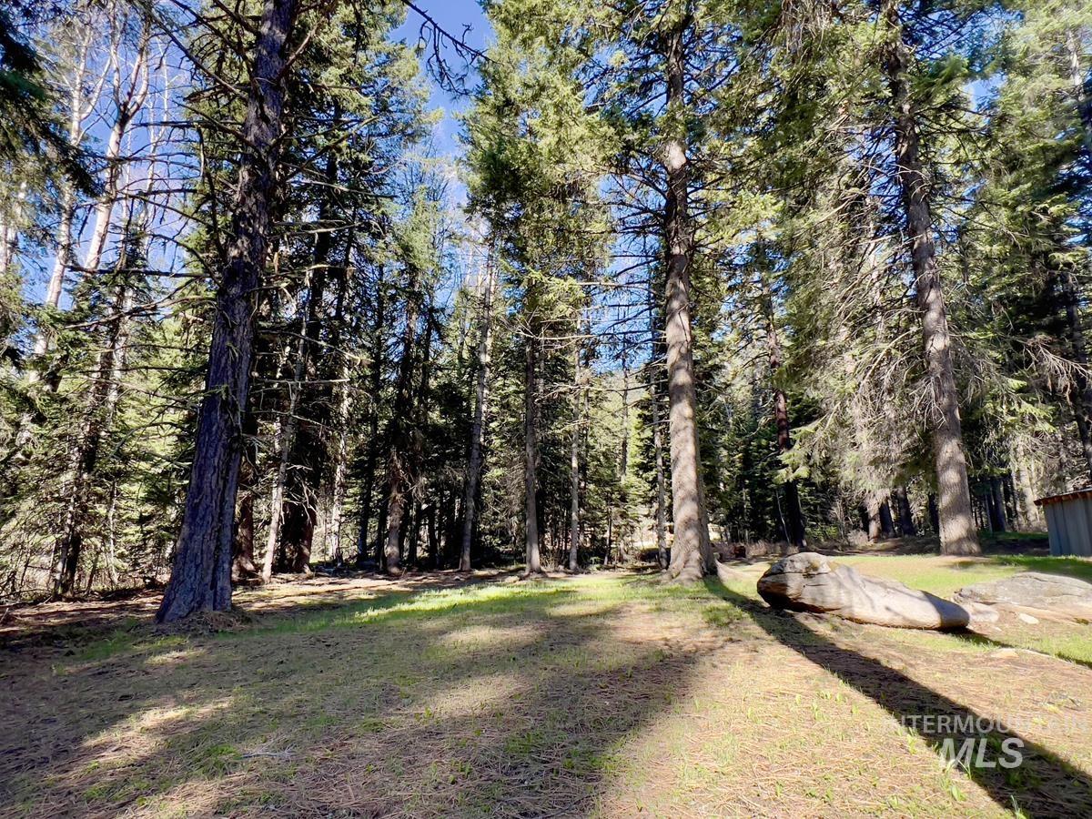 1792 Canary Trail Property Photo 13