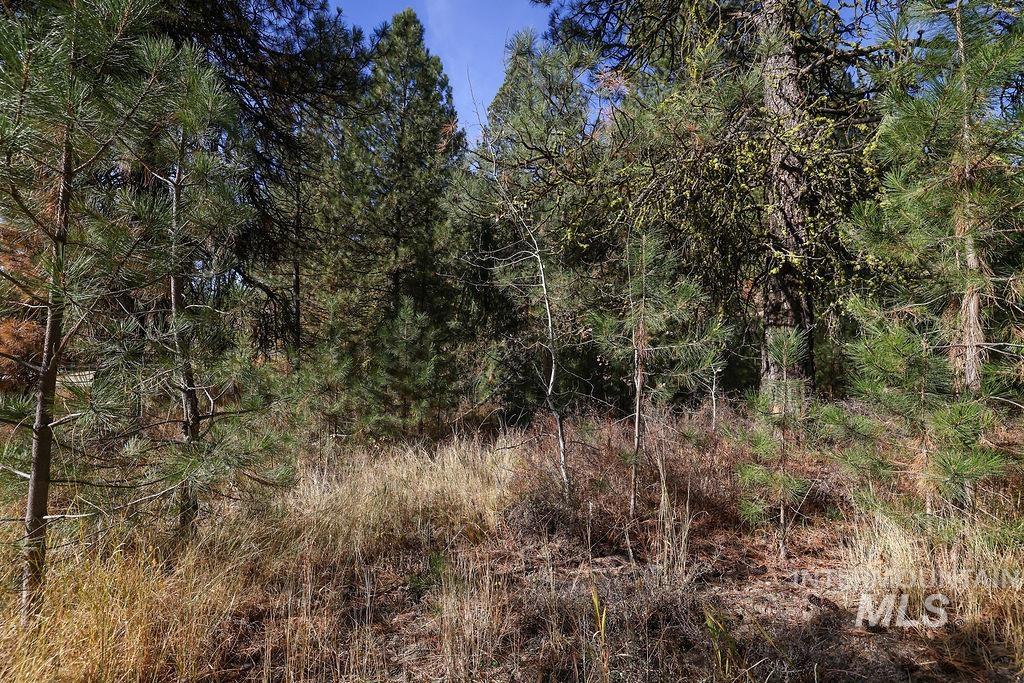 Tbd Joshua Drive Property Photo 7