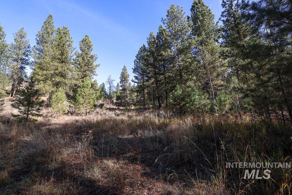 Tbd Joshua Drive Property Photo 12
