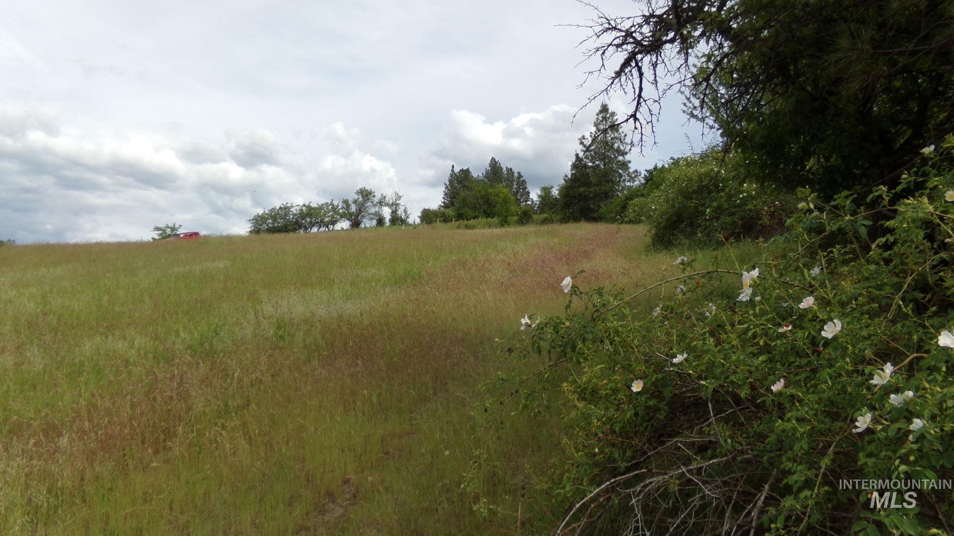 Tbd Summit Grade Parcel 
