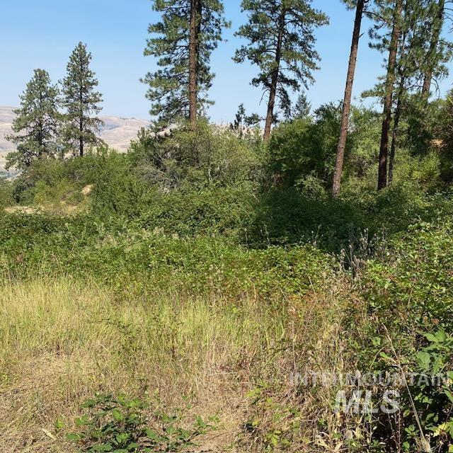 Tbd Summit Grade Parcel 